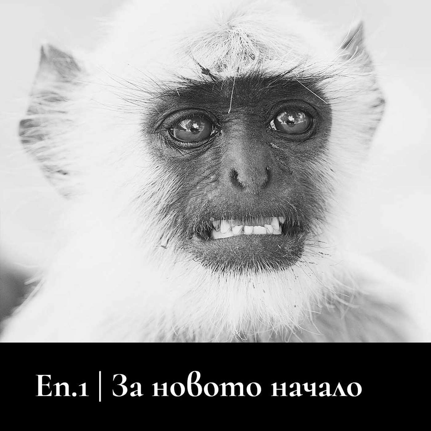 Да поговорим за новото начало episode artwork