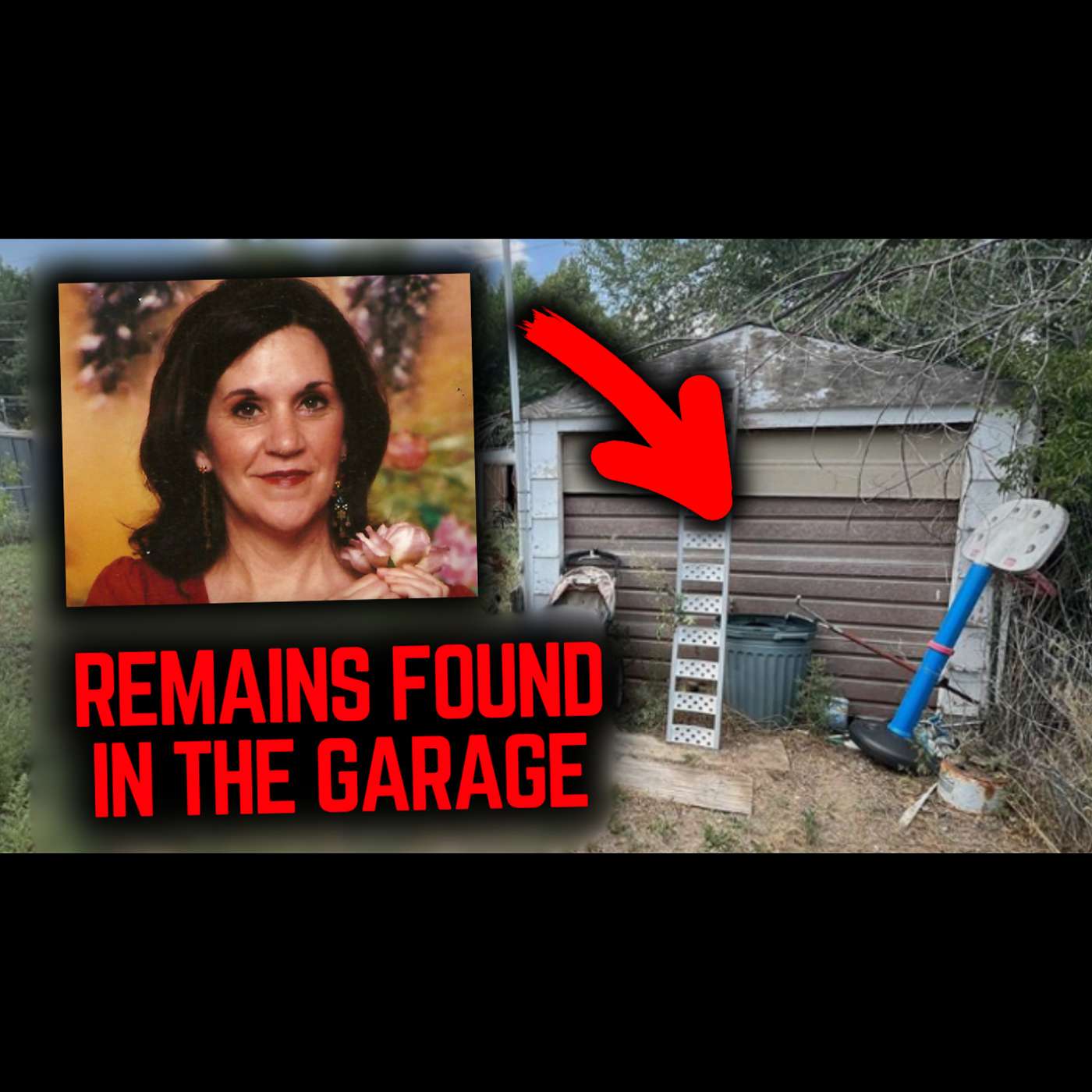 #41 The Disappearance of Terri Ackerman: Hidden in Her Own Home #41 The Disappearance of Terri Ackerman: Hidden in Her Own Home