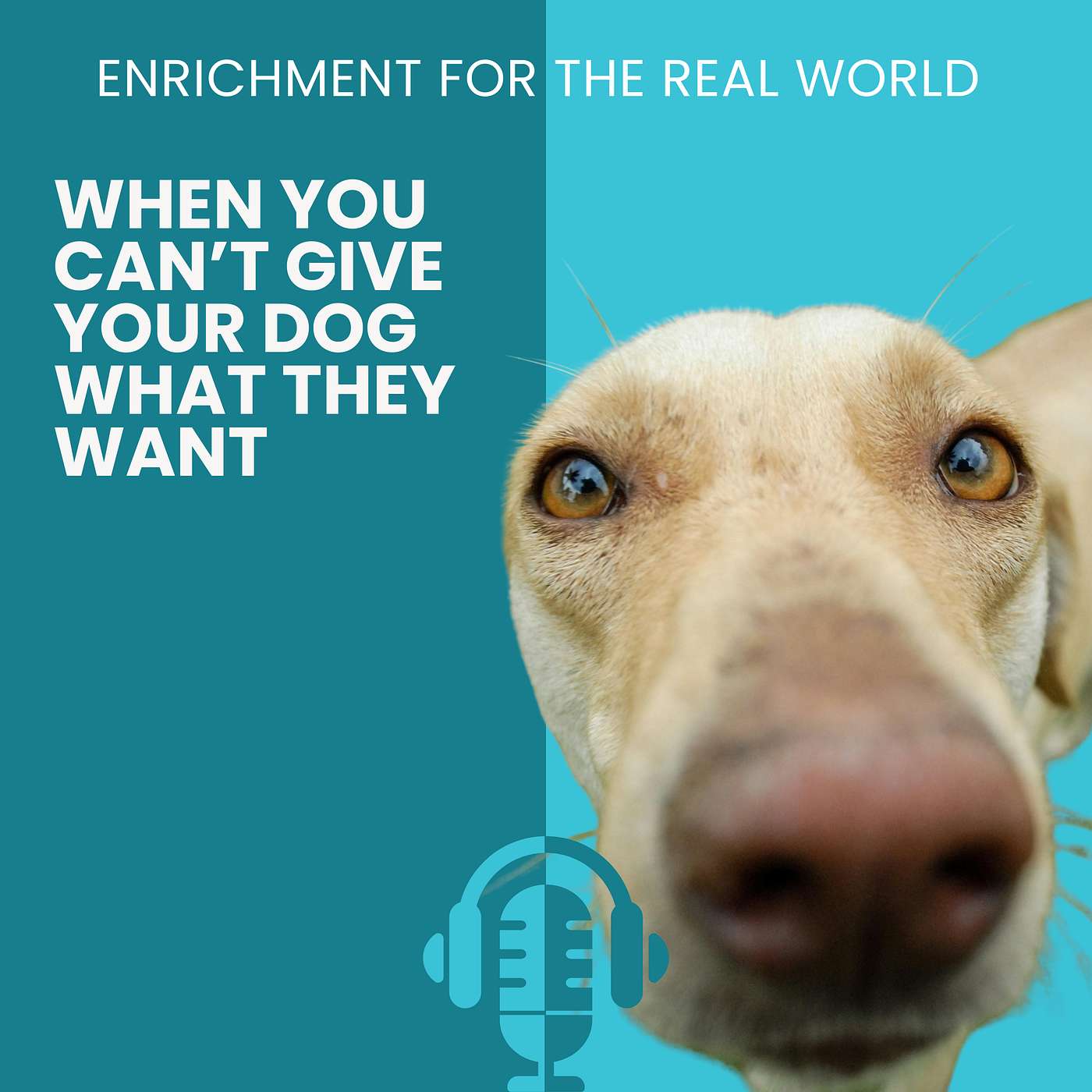 #177 - When You Can't Give Your Dog What They Want episode artwork