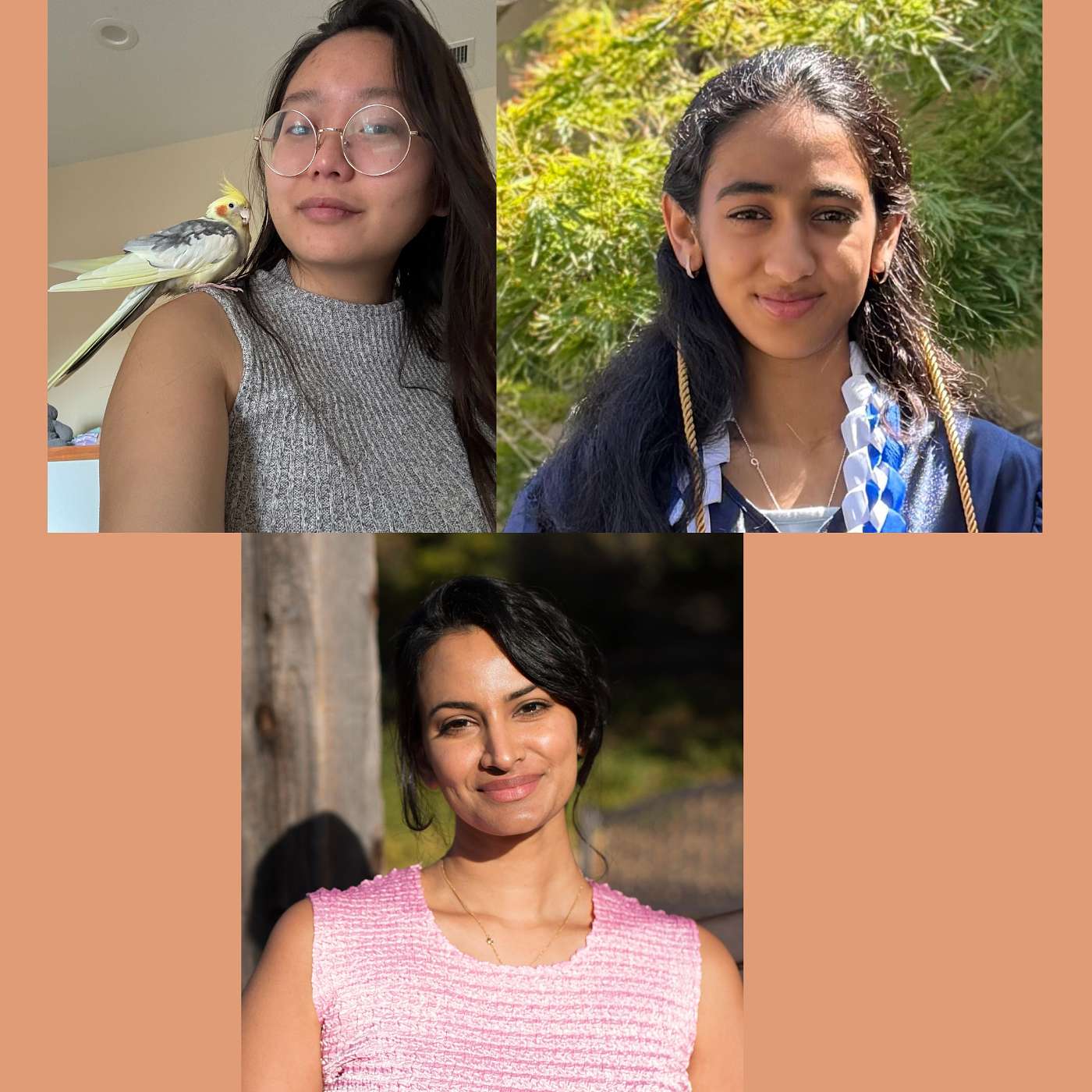 South Bay Youth Changemakers: Going Beyond the Stereotype of “Asian American” to Realize a Broad Sense of Community and Activism in Silicon Valley