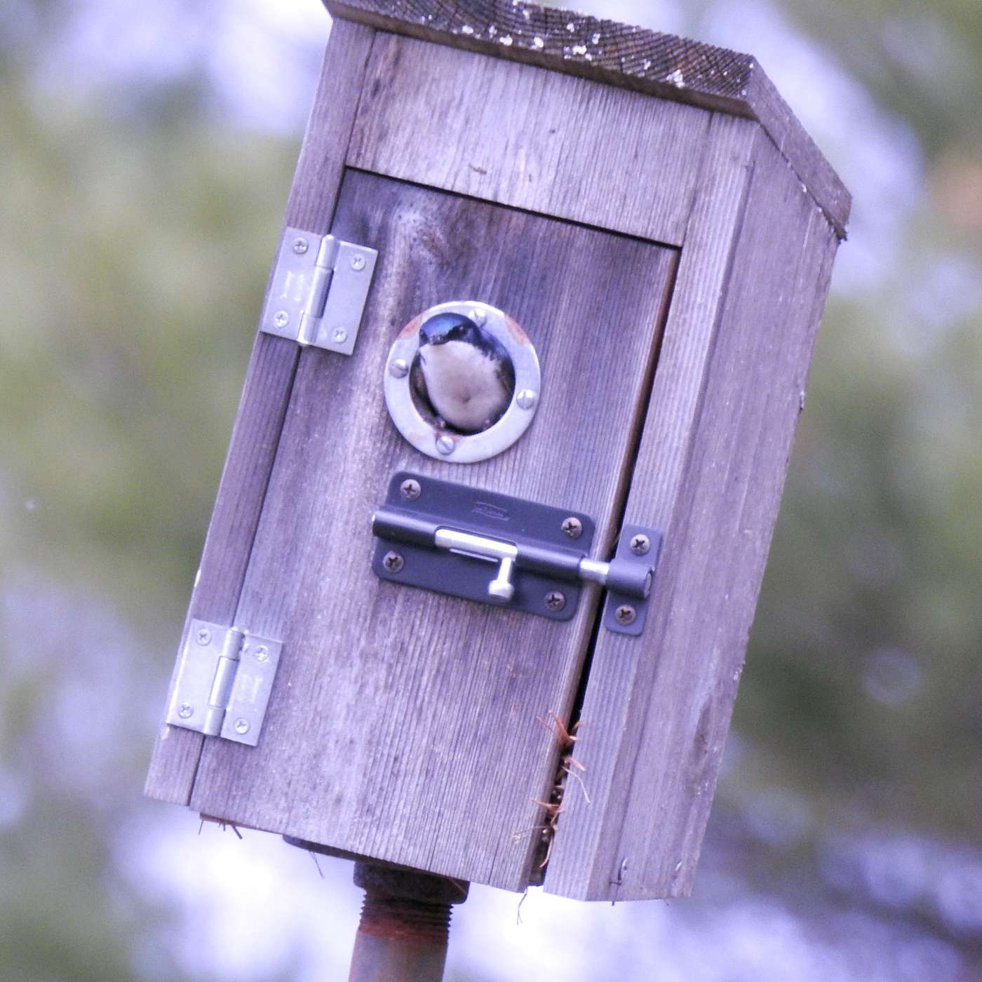 A NEW RENTER