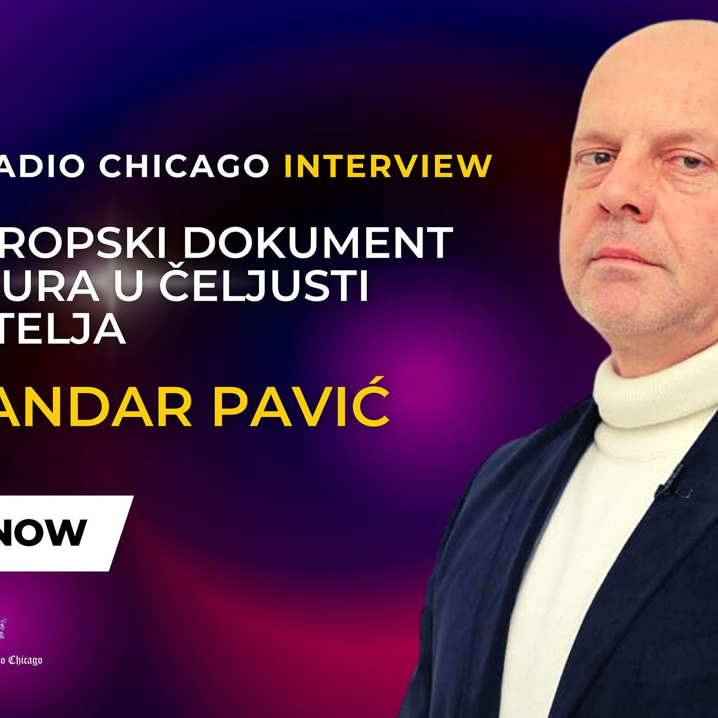 EXCLUSIVE! ALEKSANDAR PAVIĆ - TAJNI EVROPSKI DOKUMENT SRBIJU GURA U ČELJUSTI NEPRIJATELJA 2.21.2023