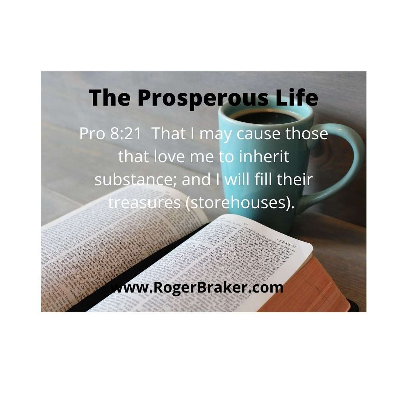 The Prosperous Life