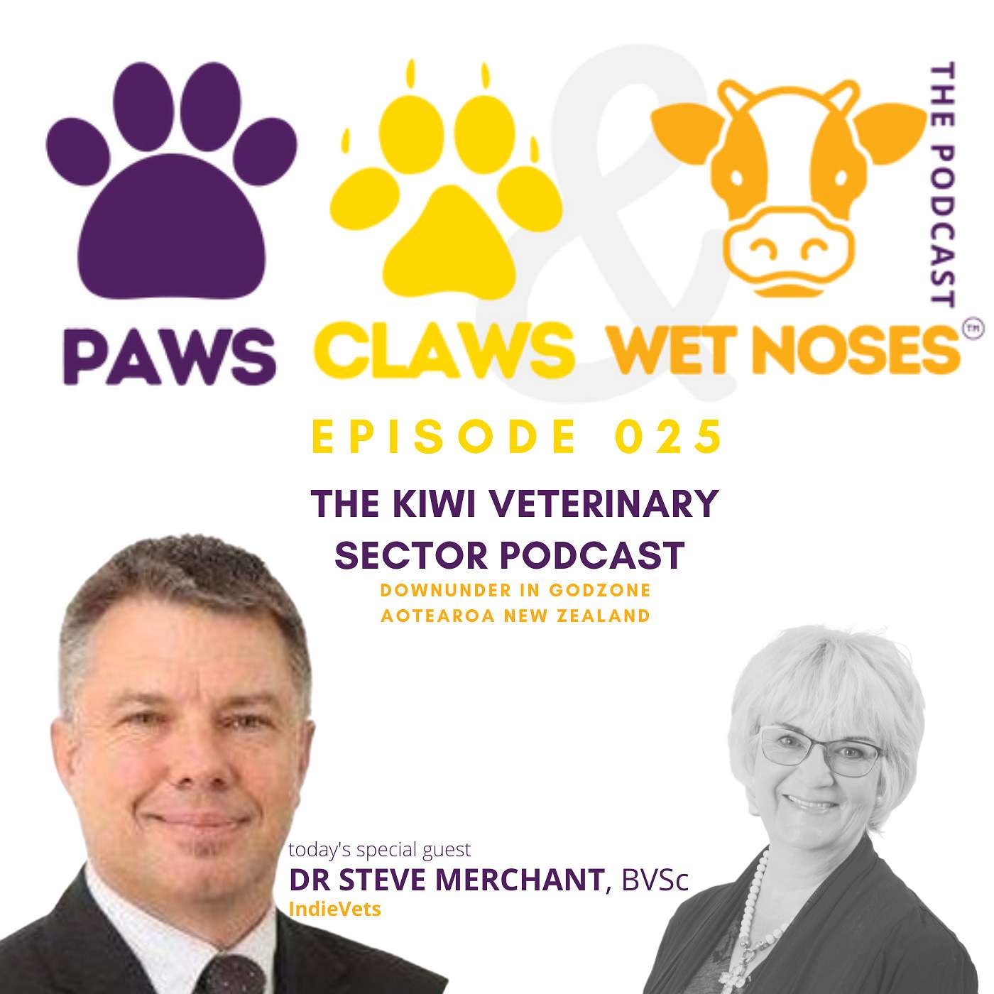025 - Dr Steve Merchant - IndieVets Q&A