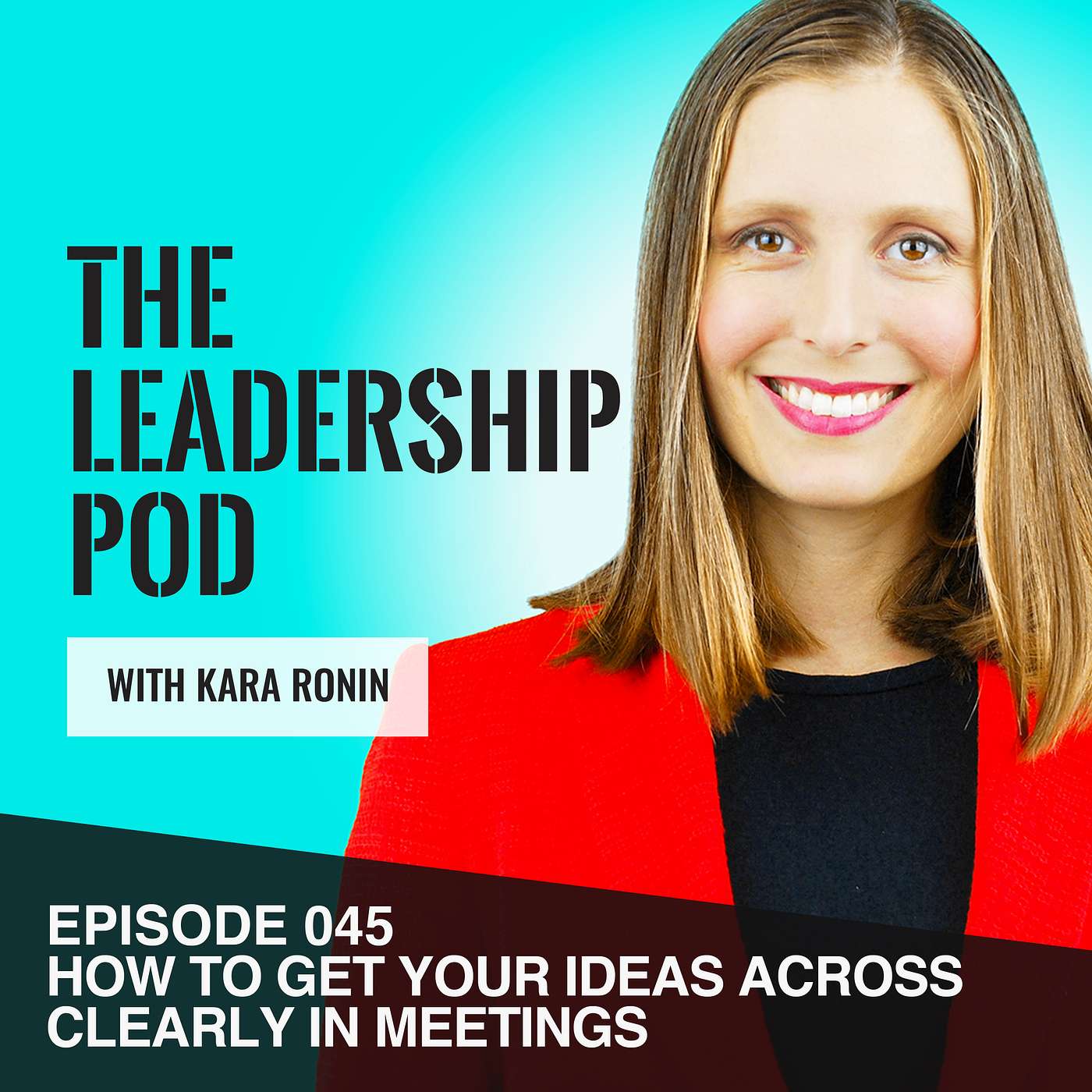 [045] How to Get Your Ideas Across in Meetings