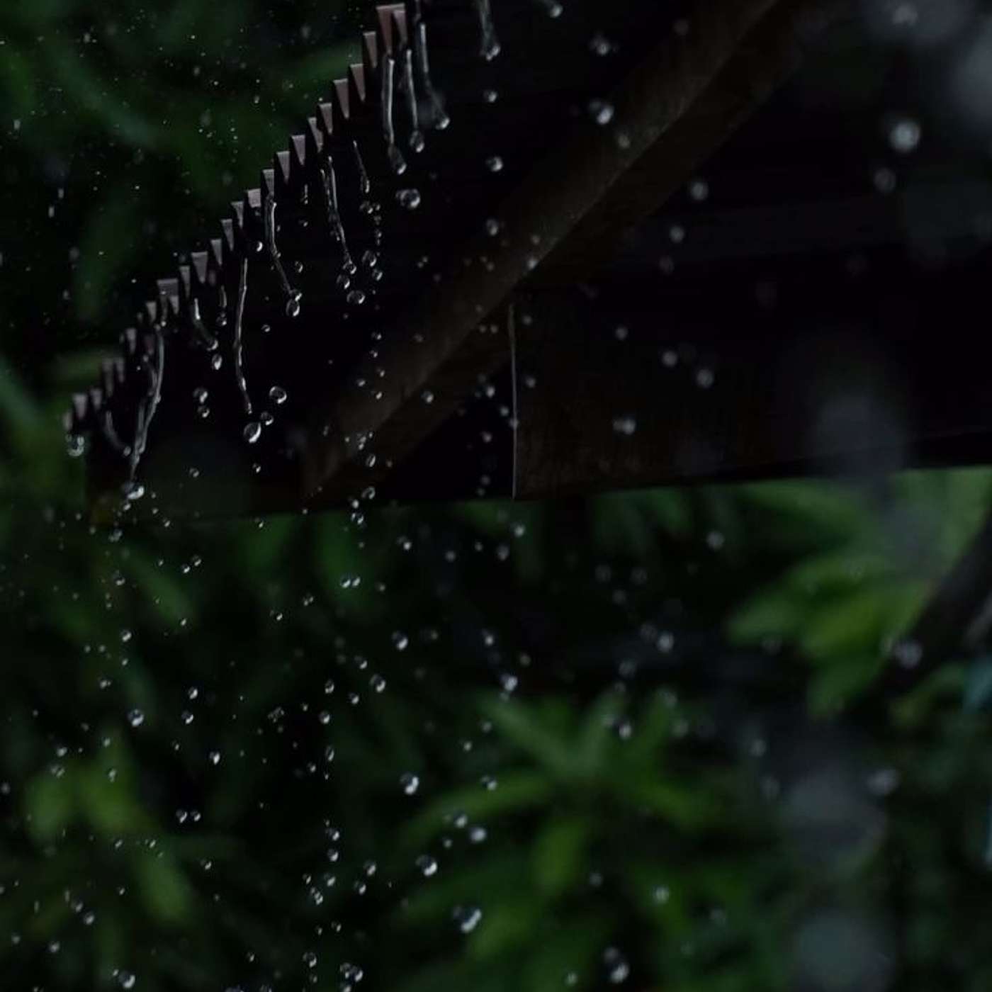 The day I forgot my umbrella episode artwork