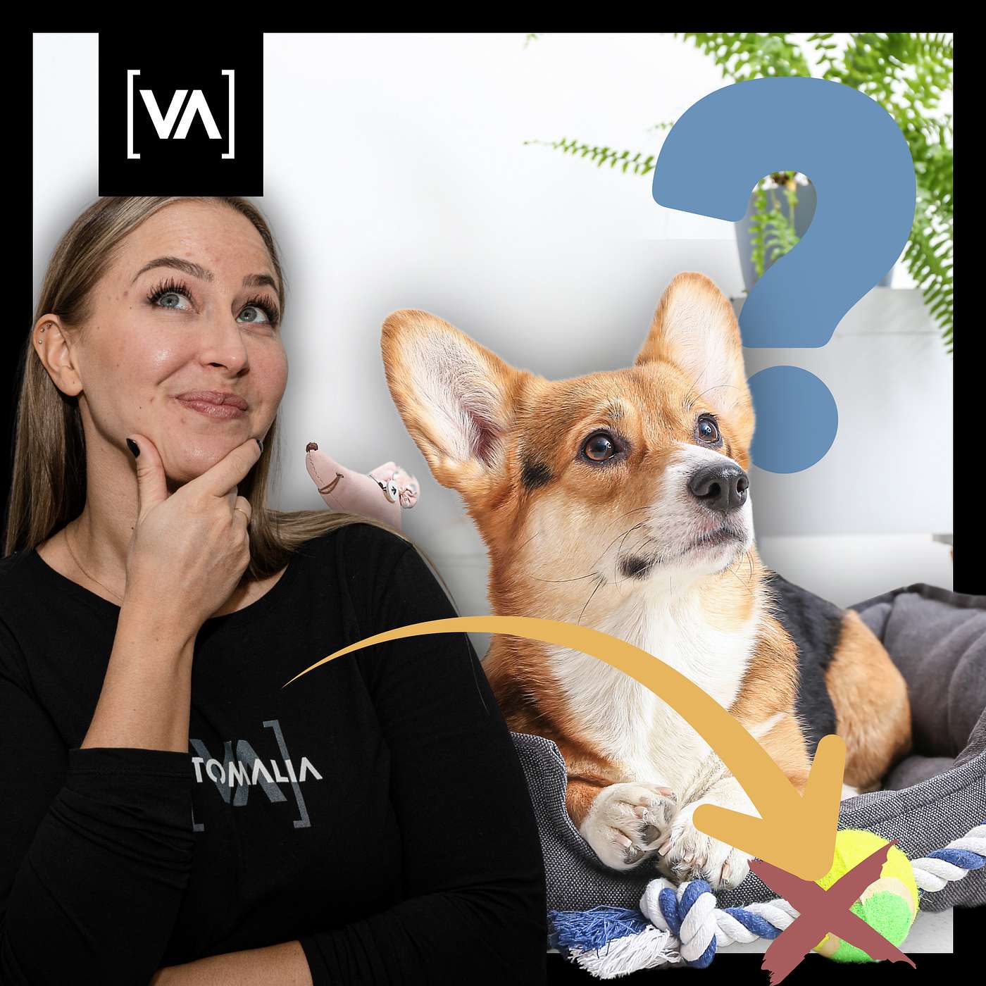 99 % aller Hundehalter kaufen unnötiges Zeug 😳 | Die Wahrheit über Hundezubehör & Werbung