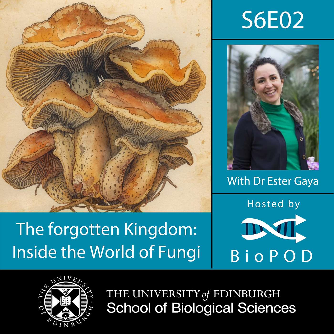 The forgotten Kingdom: Inside the World of Fungi The forgotten Kingdom: Inside the World of Fungi