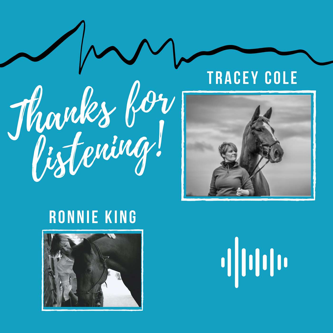 Interview with Tracey Cole - Equestrian Focused NLP Coach Practitioner