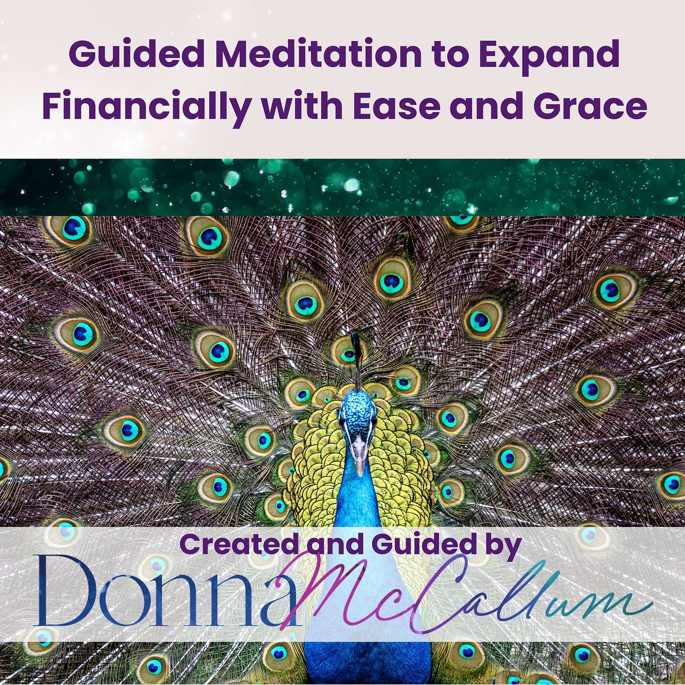 Guided Meditations with Donna McCallum