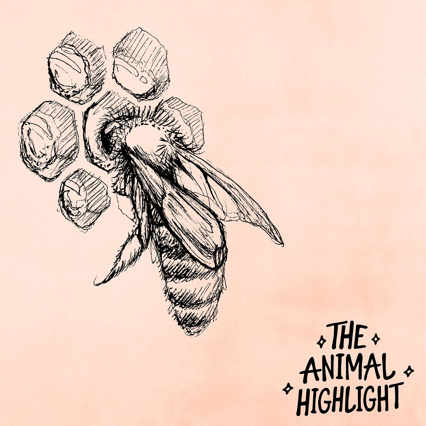 The Animal Highlight