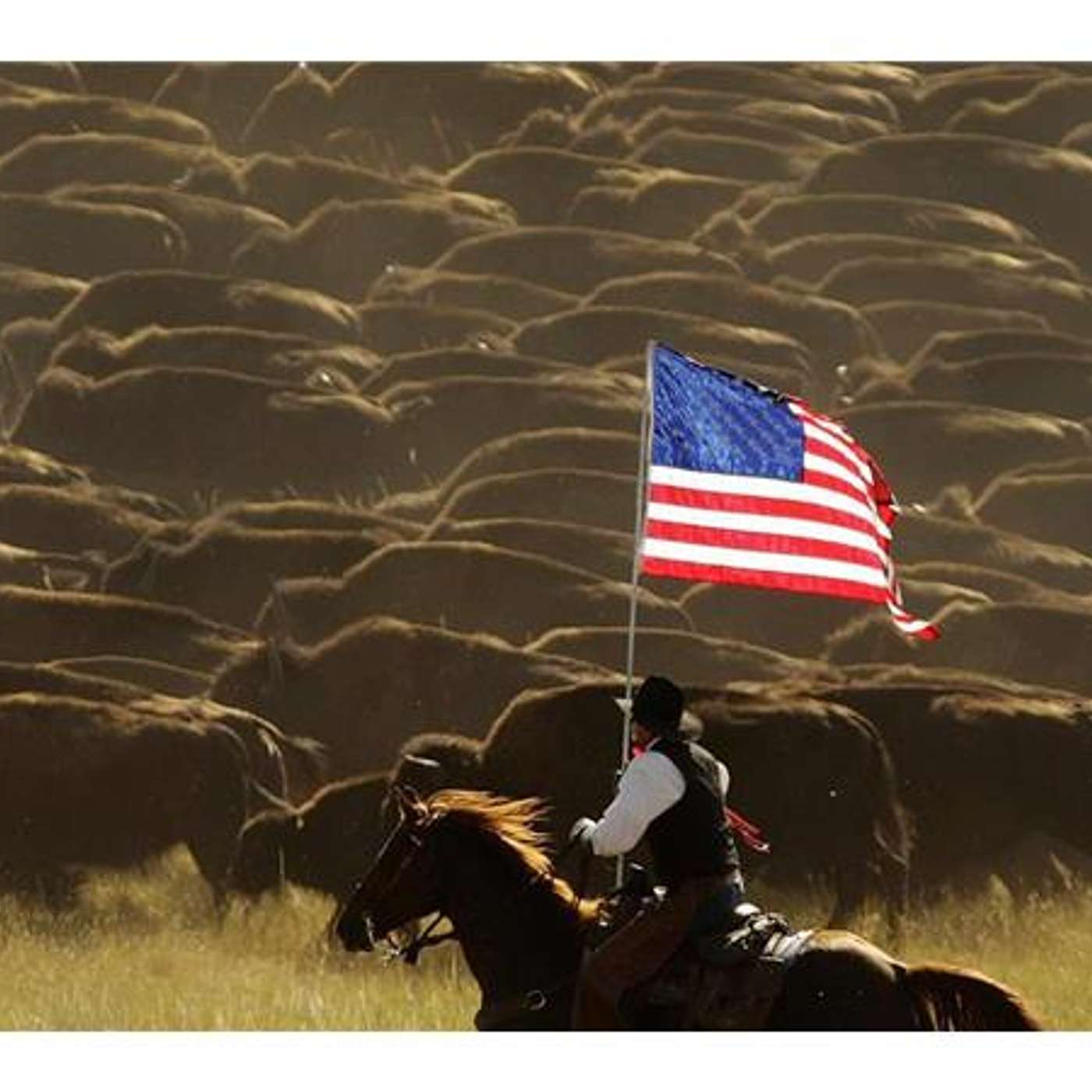DAVE STAMEY & PHILL RANDALL Celebrate our Western Heritage on the CAMPFIRE CAFE'