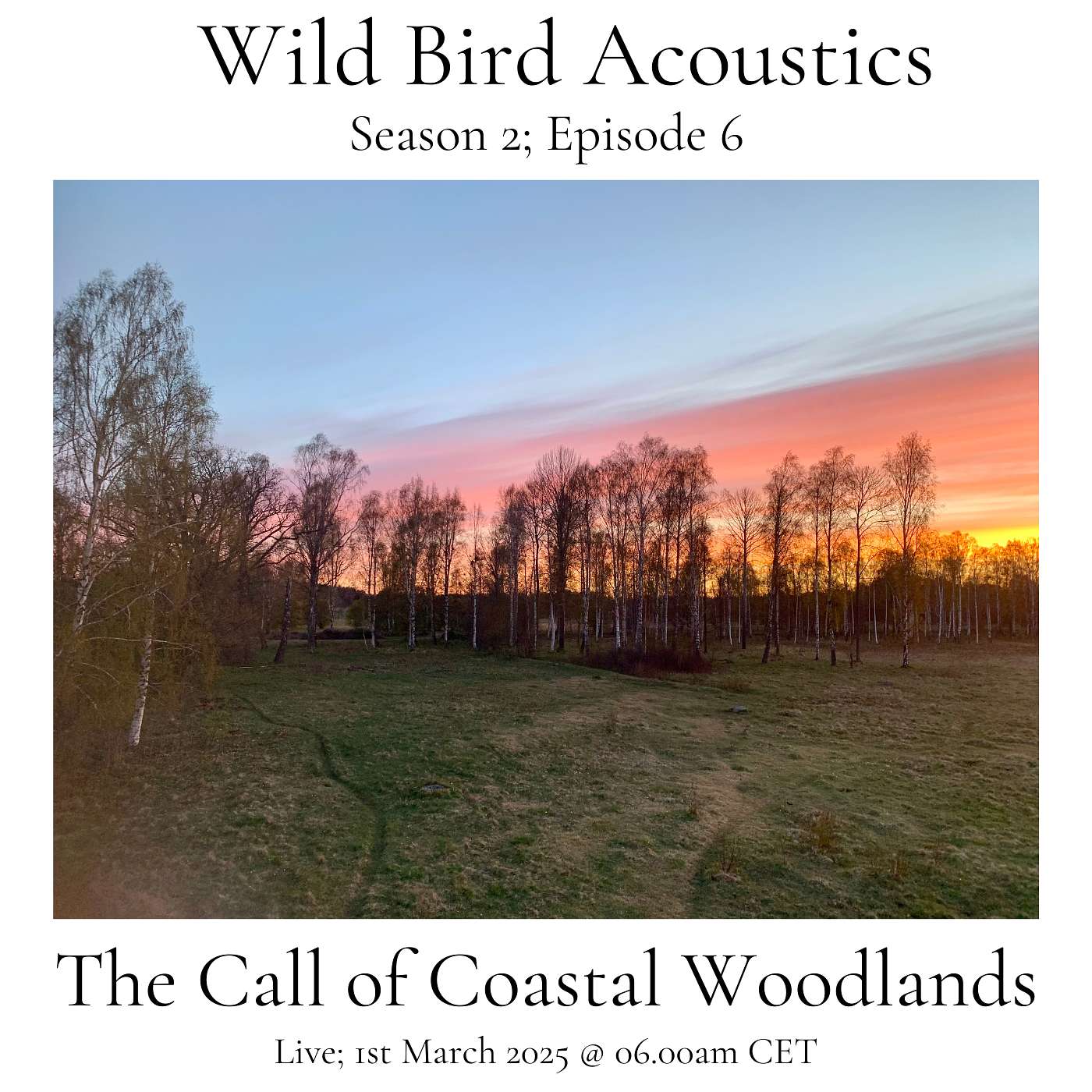 Wild Bird Acoustics