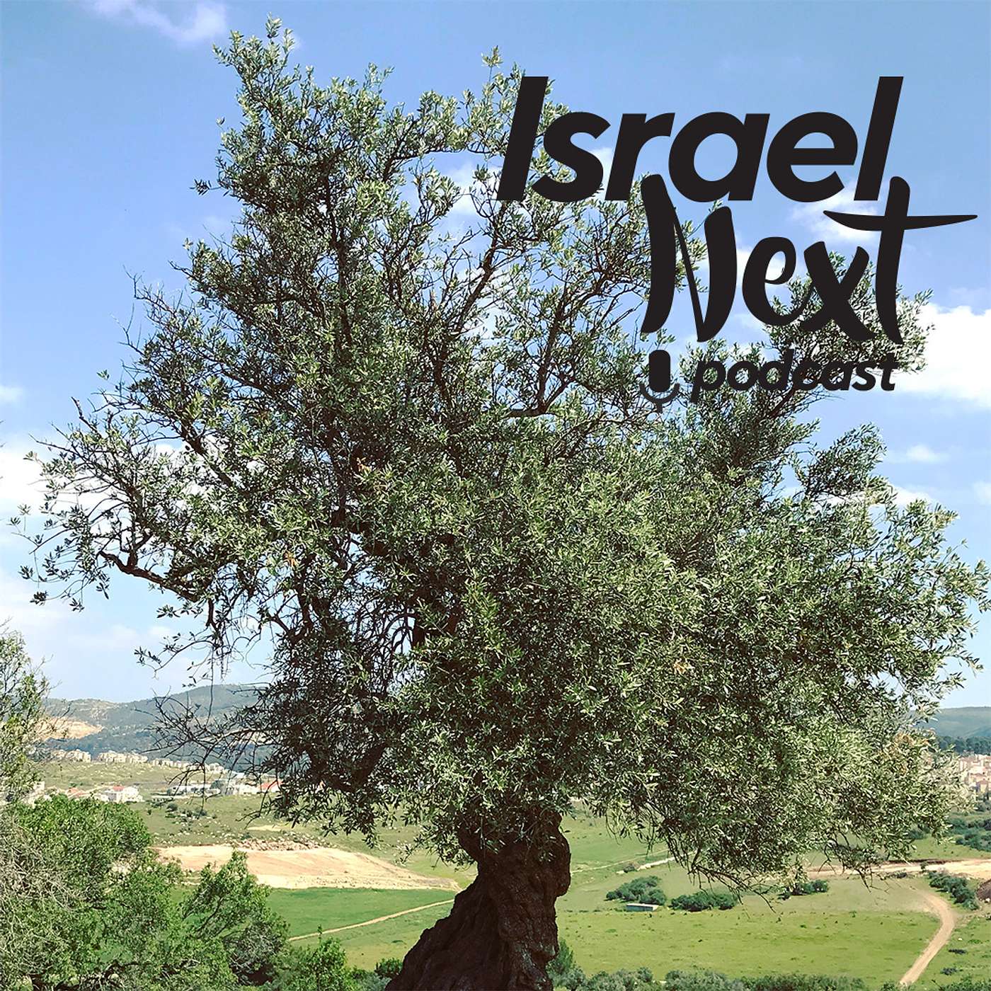 Where Replacement Theology Is Mistaken - ENGLISH episode artwork