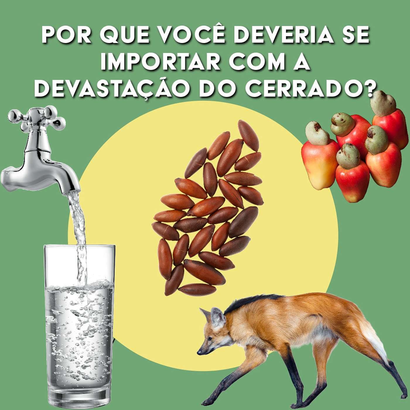 Vai Se Food