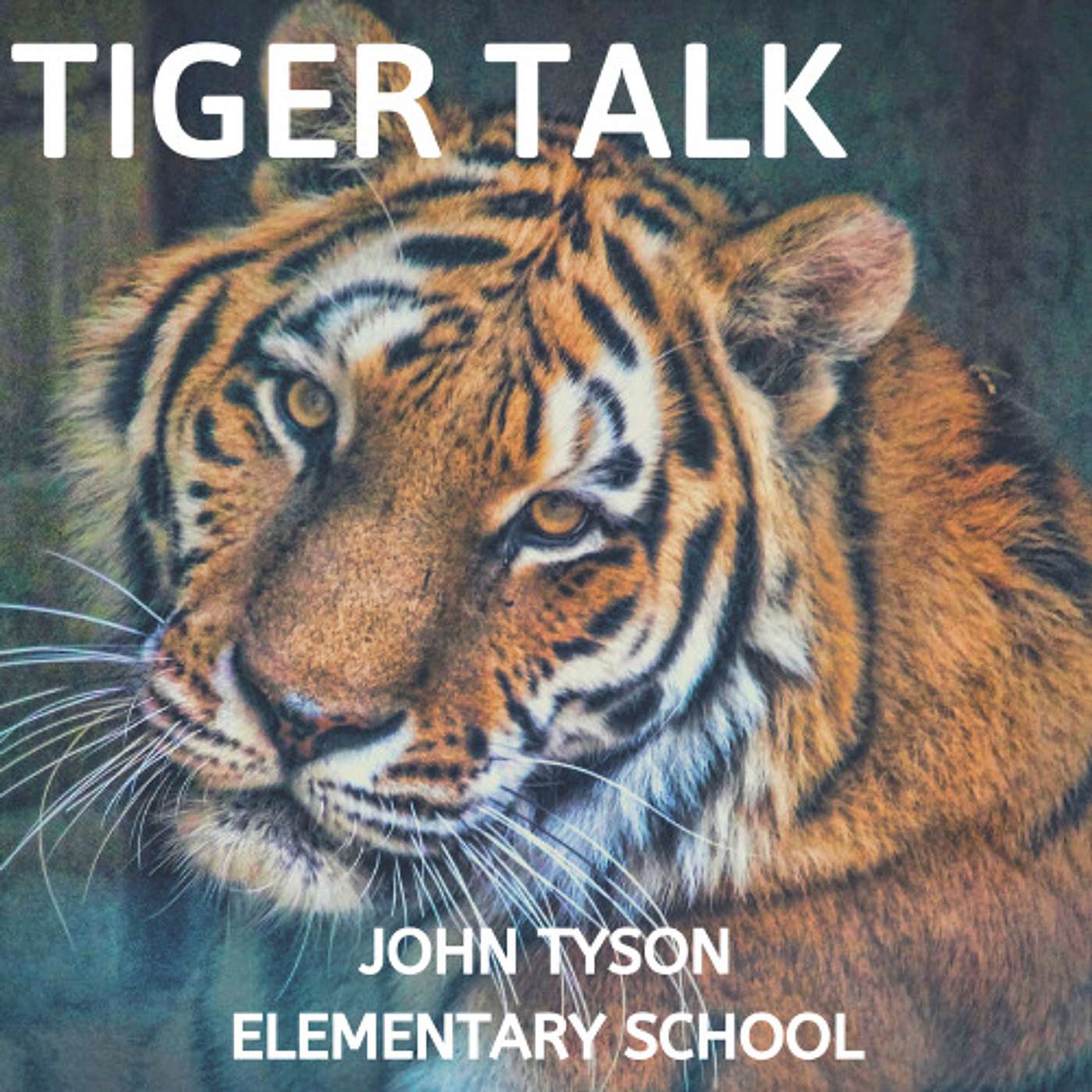 Tiger Talk Artwork