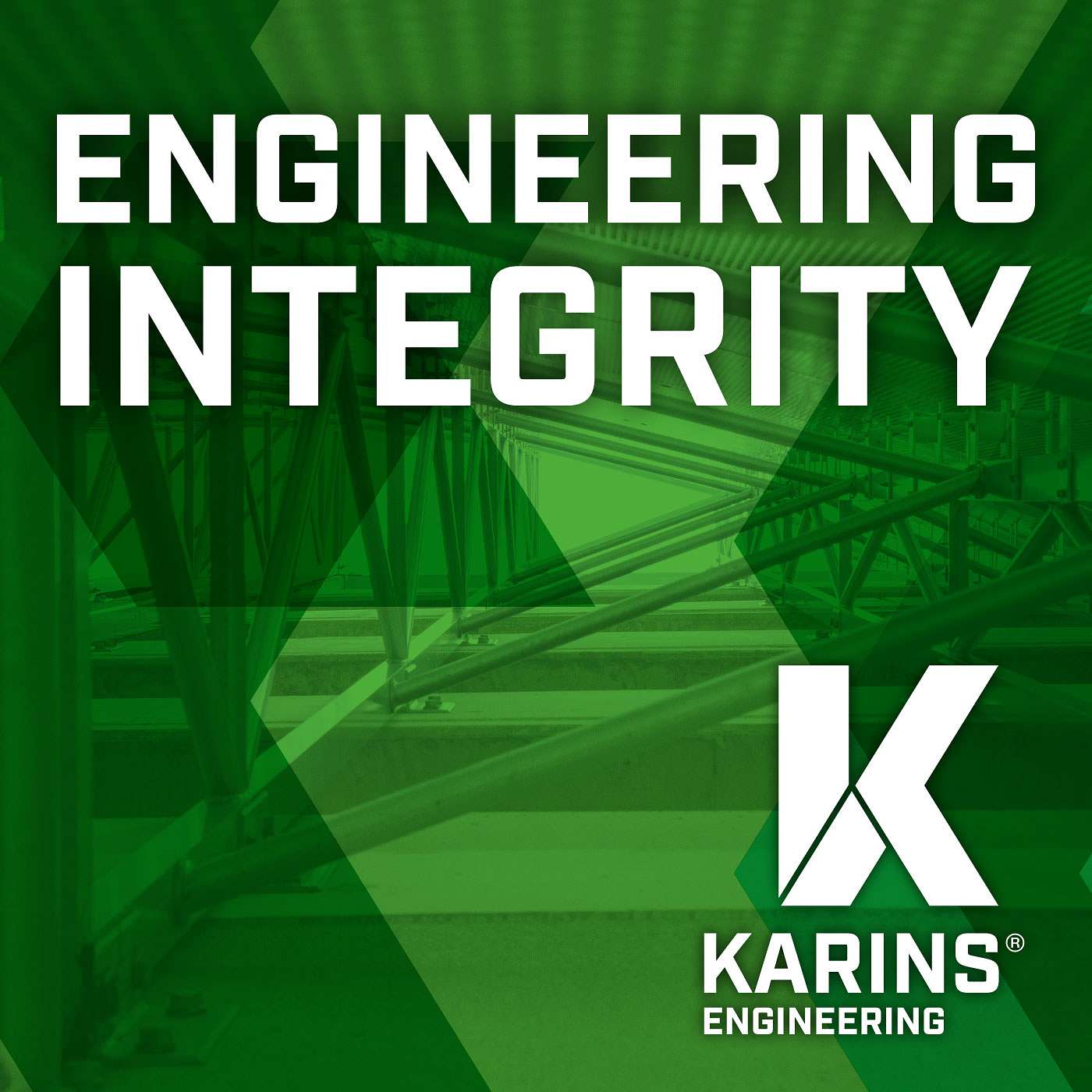 Engineering Integrity 