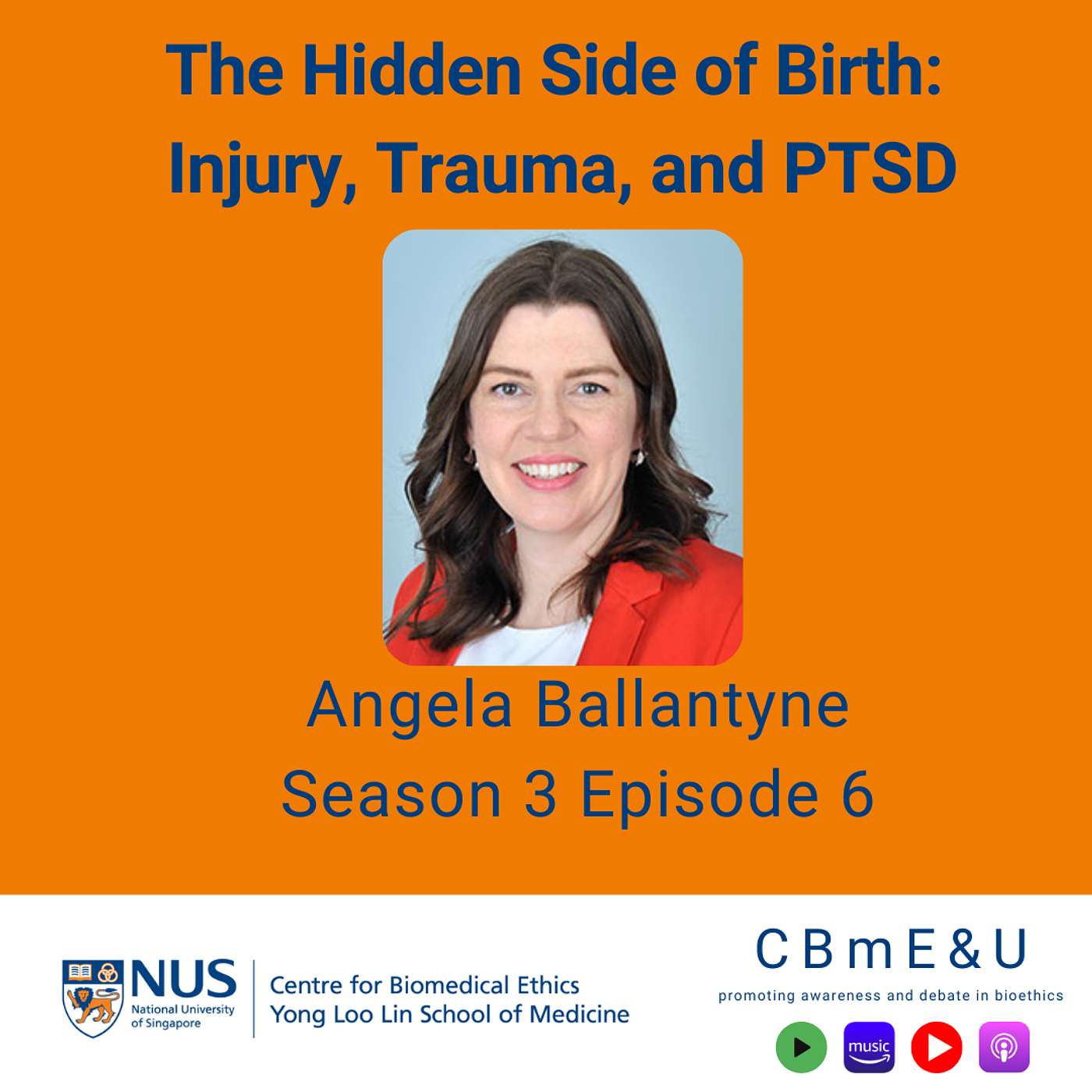 The Hidden Side of Birth:  Injury, Trauma, and PTSD with Angela Ballantyne episode artwork