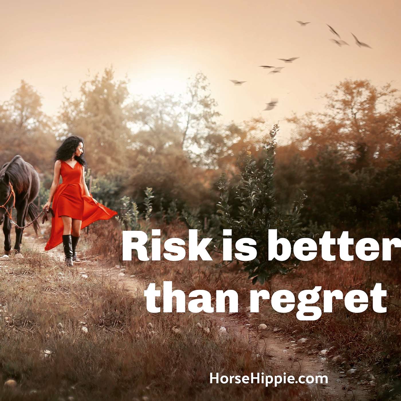 Take A Risk episode artwork