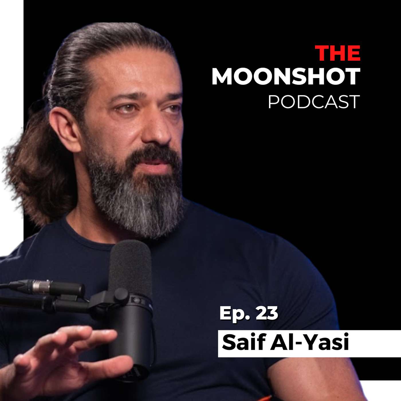 The Moonshot Podcast