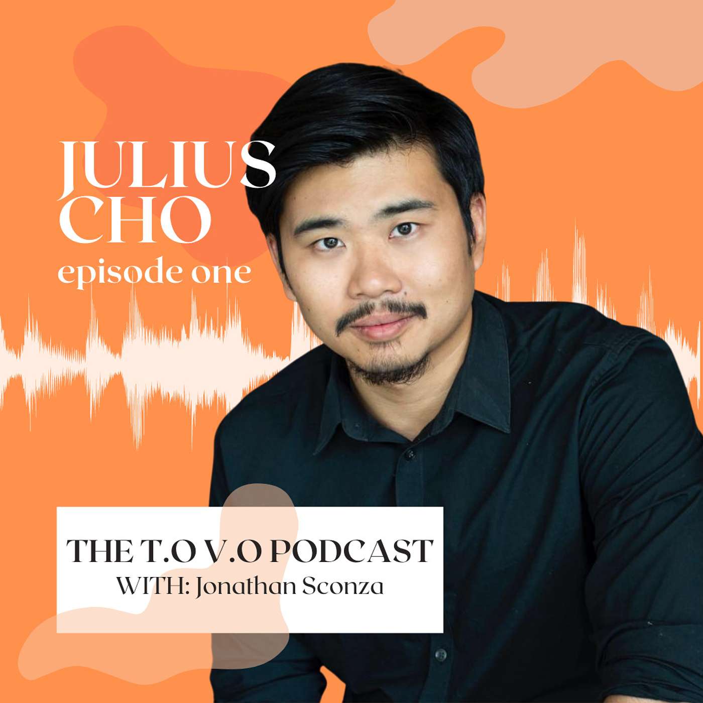The TO VO Podcast