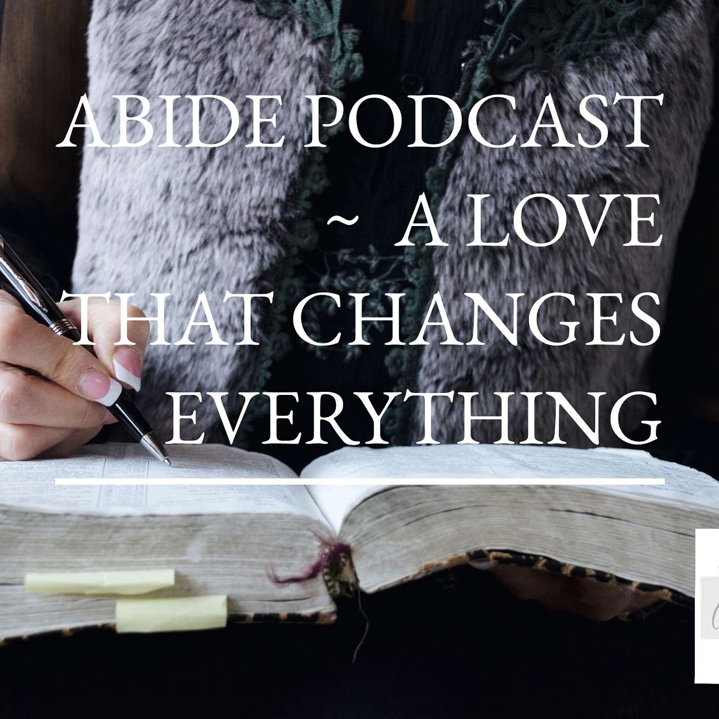 The ABIDE Podcast With Gretchen Stevenson