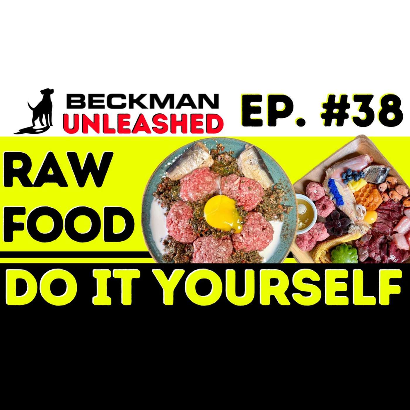 Ep. 38 - Raw Food on a Budget? Keep your Dog Healthy, Happy and Thriving from a member of the Pod!