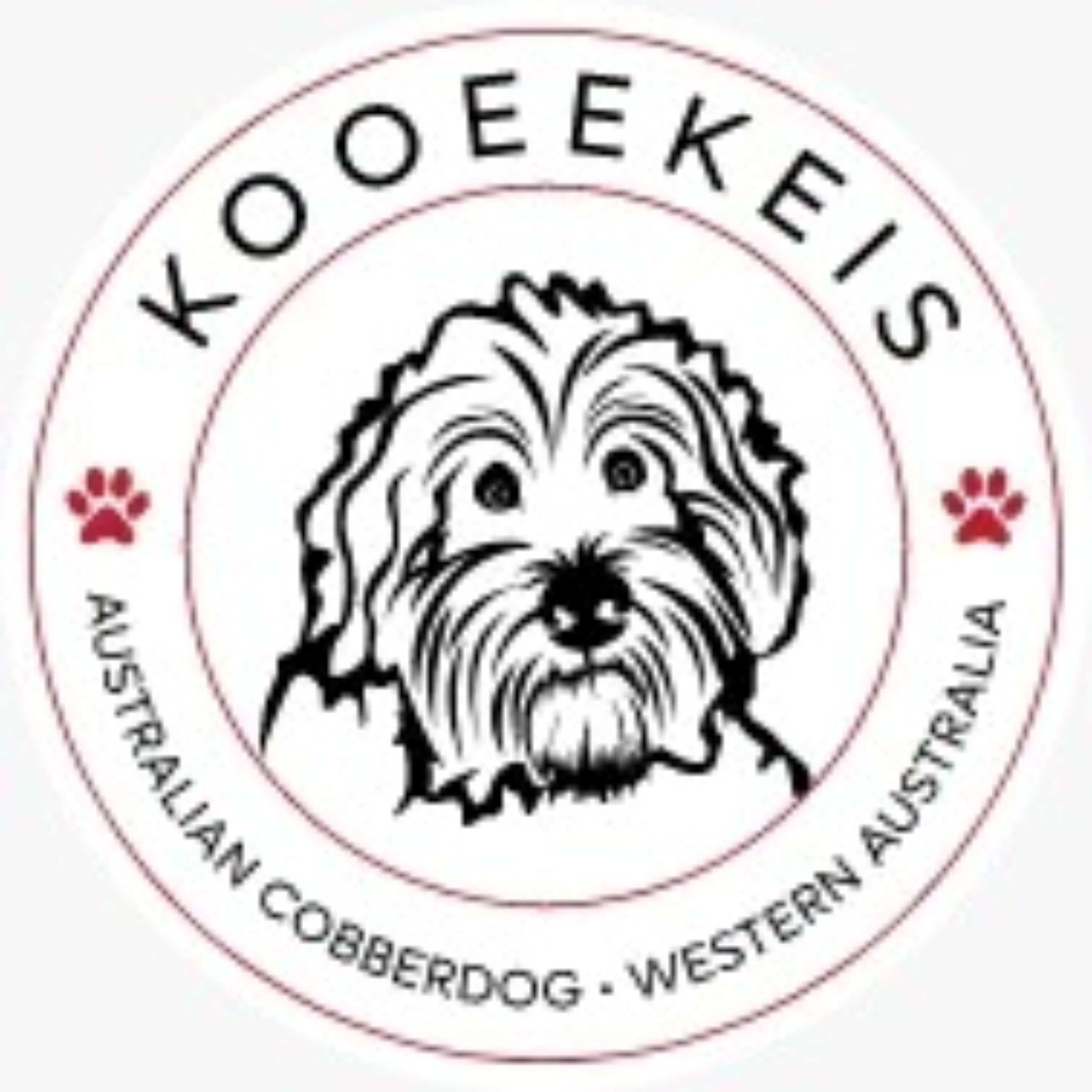 Australian Cobberdog Puppies cover art