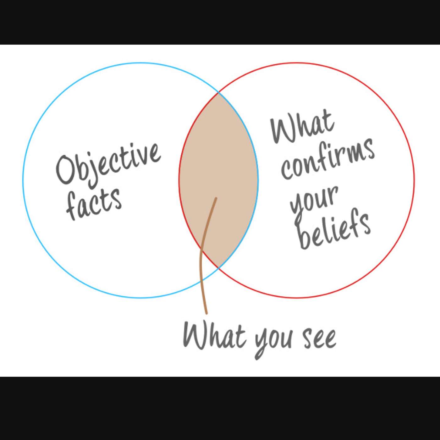 Cognitive Biases (Part 1) [Episode 14] episode artwork