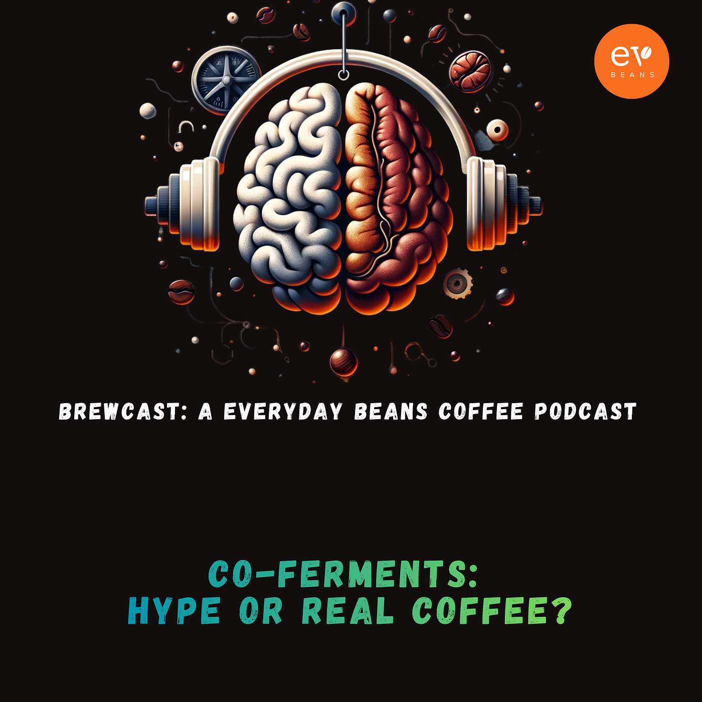 Co-Ferments: Hype or Real Coffee? Co-Ferments: Hype or Real Coffee?