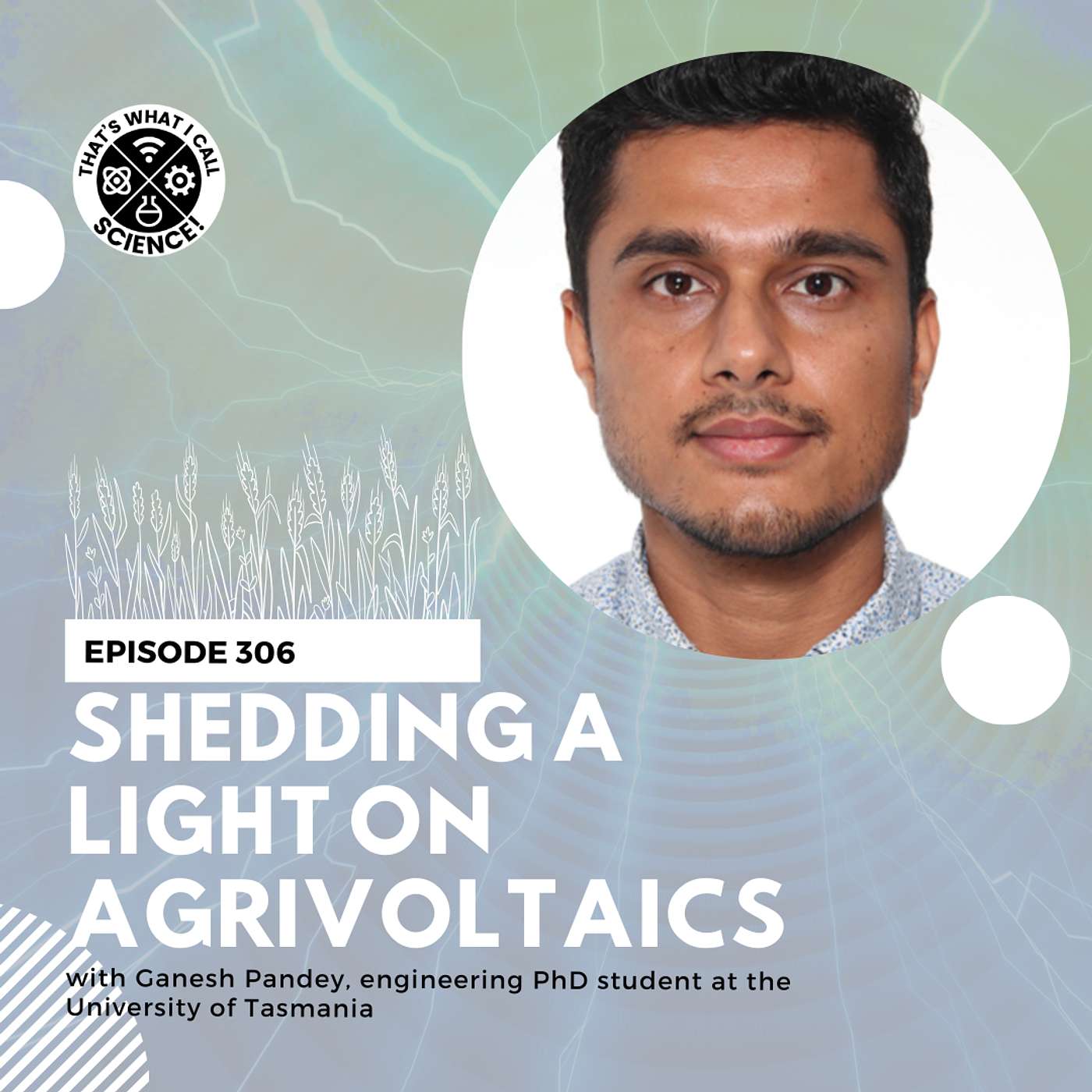 Episode 306: Shedding a light on agrivoltaics