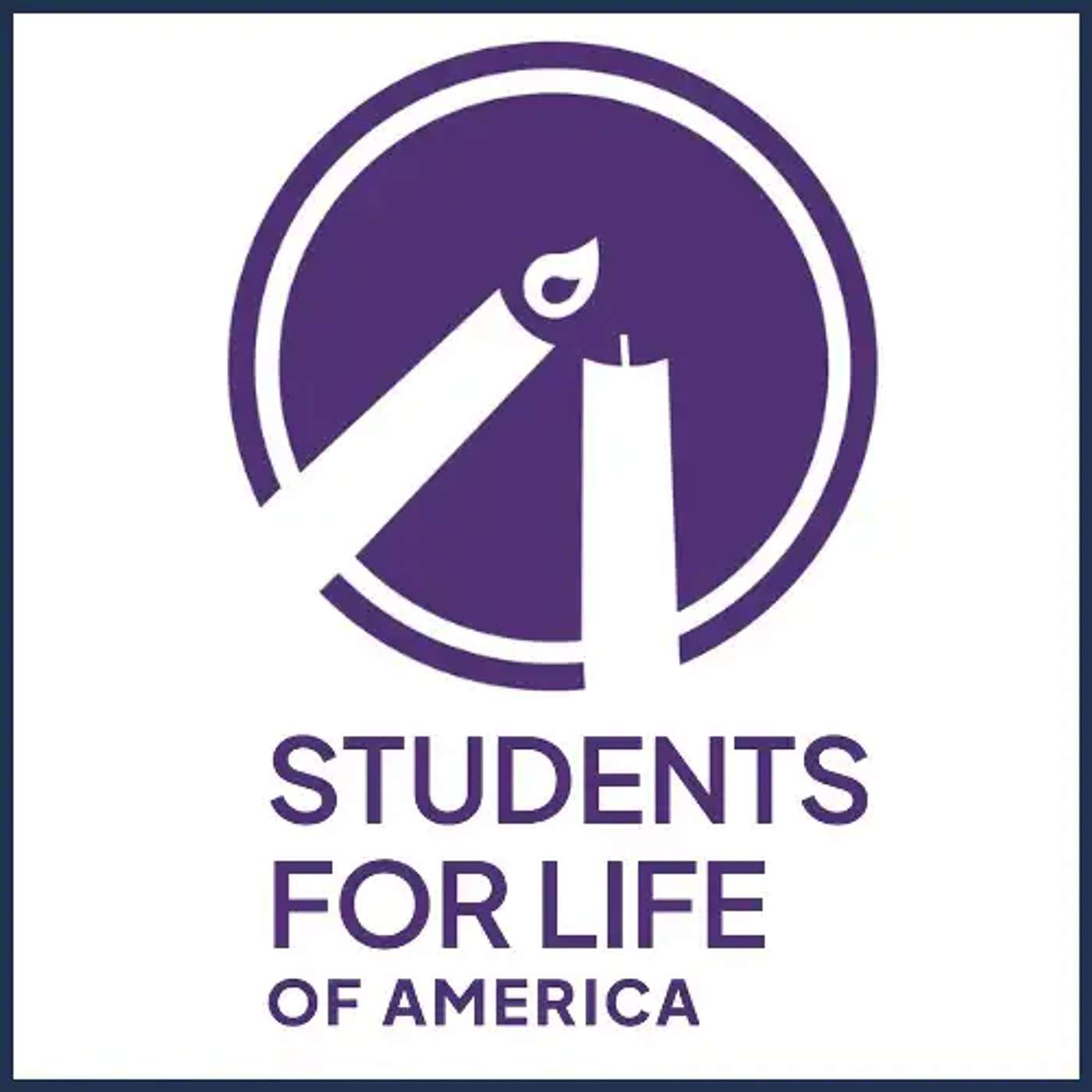 8/15/26 S12 E4075 KRISTI HAMRICK "STUDENTS FOR LIFE" ON THE SURROGATE MOTHER/ABORTION CASE episode artwork