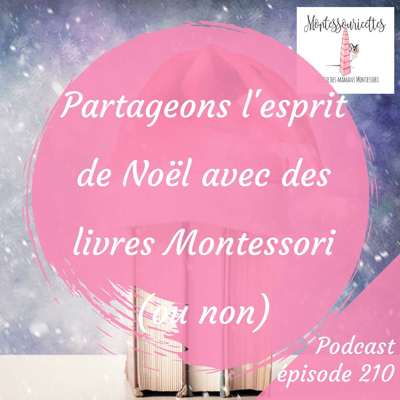 210. Partageons l'esprit de Noël avec des livres Montessori (ou non) episode artwork