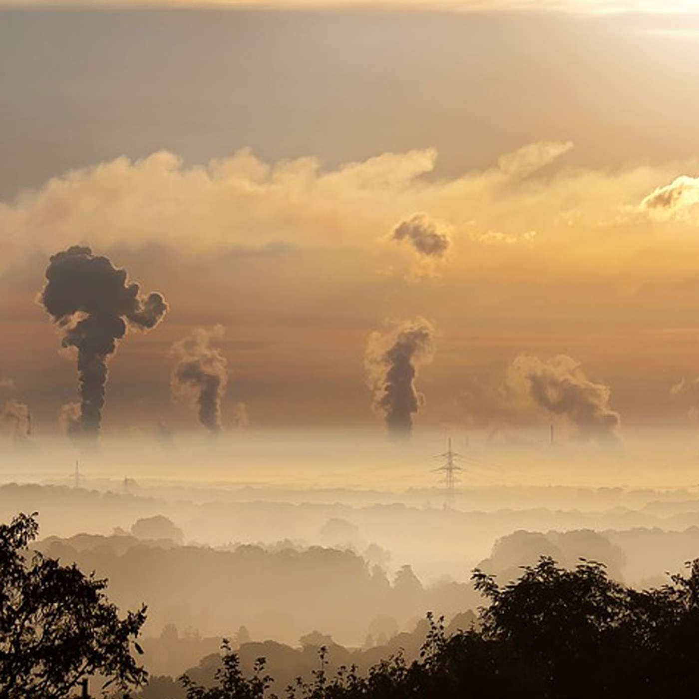 The Intertwined Impacts of Pollution and Inequality on Health