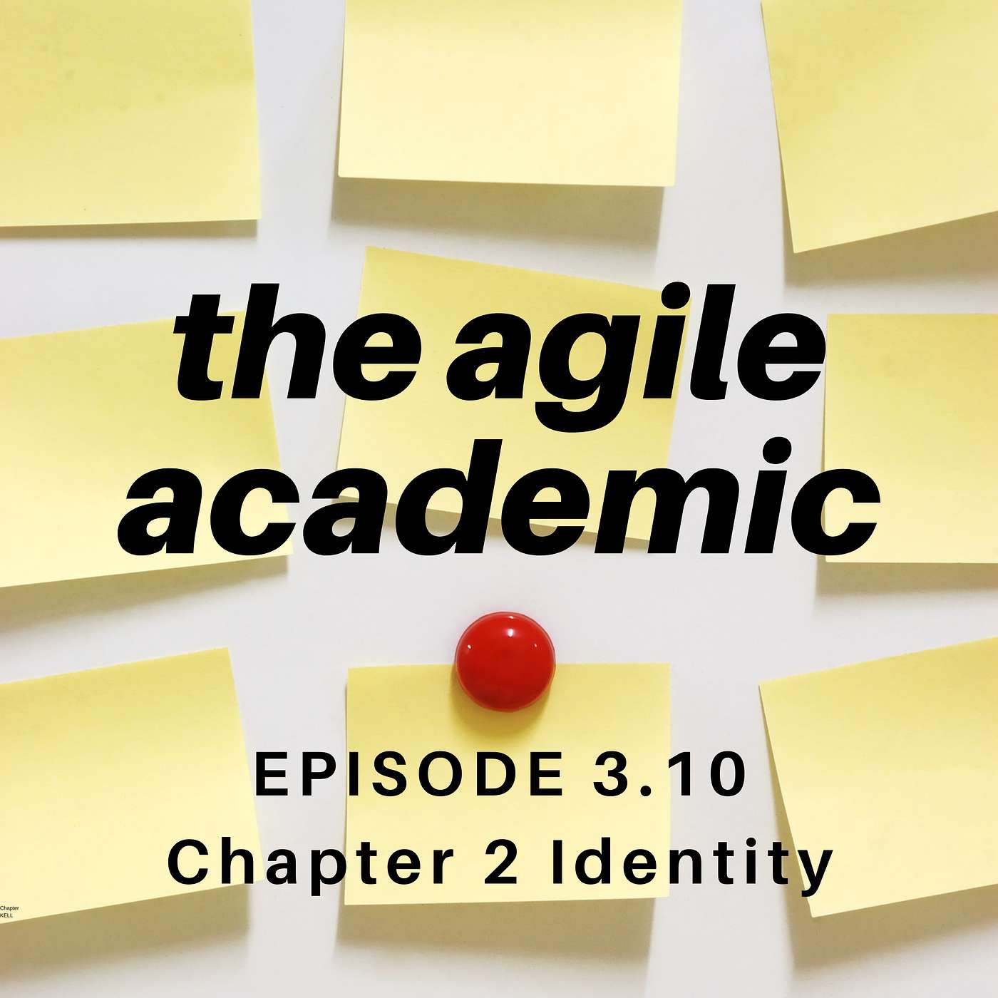 the agile academic