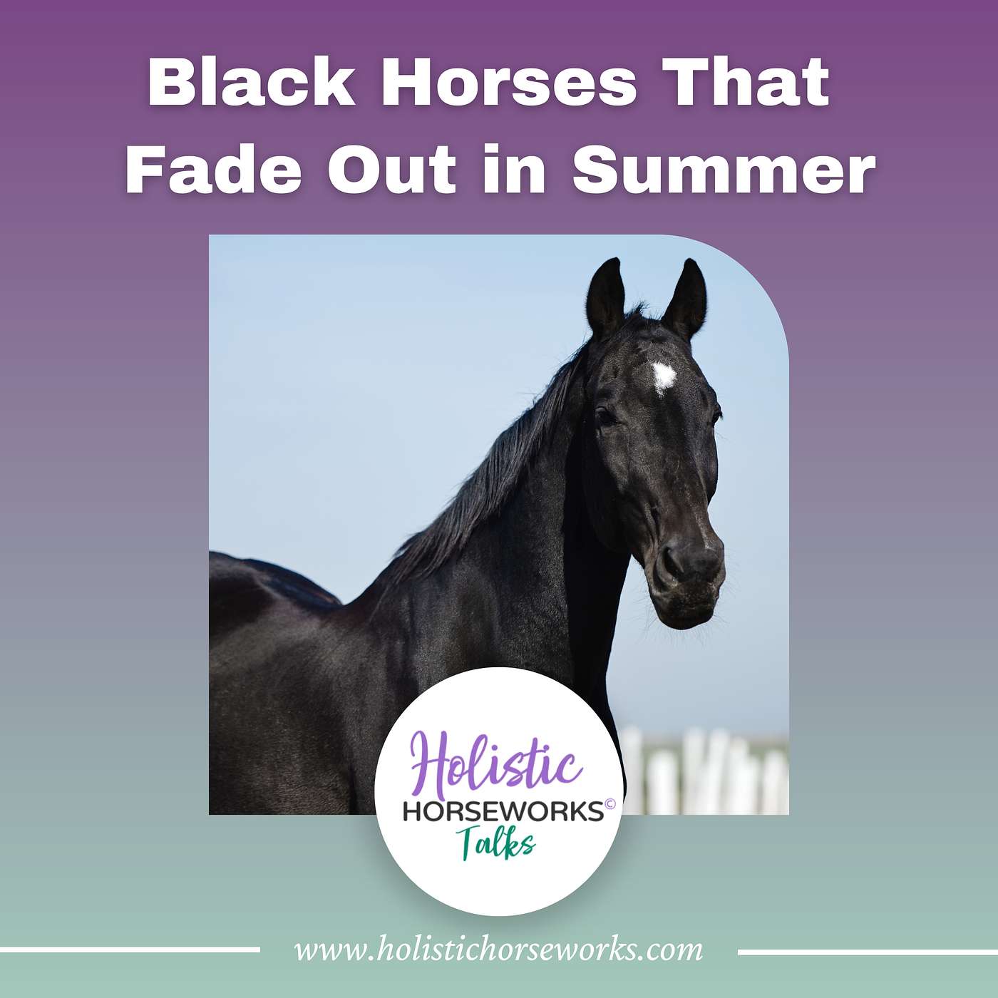 Holistic Horseworks Talks with April Love