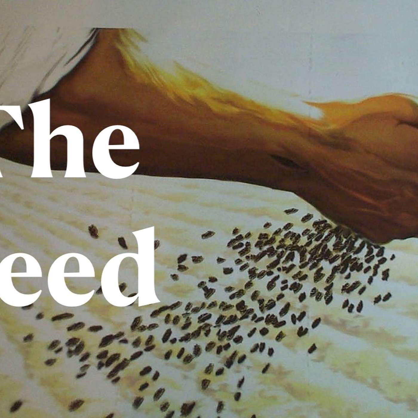 The Seed