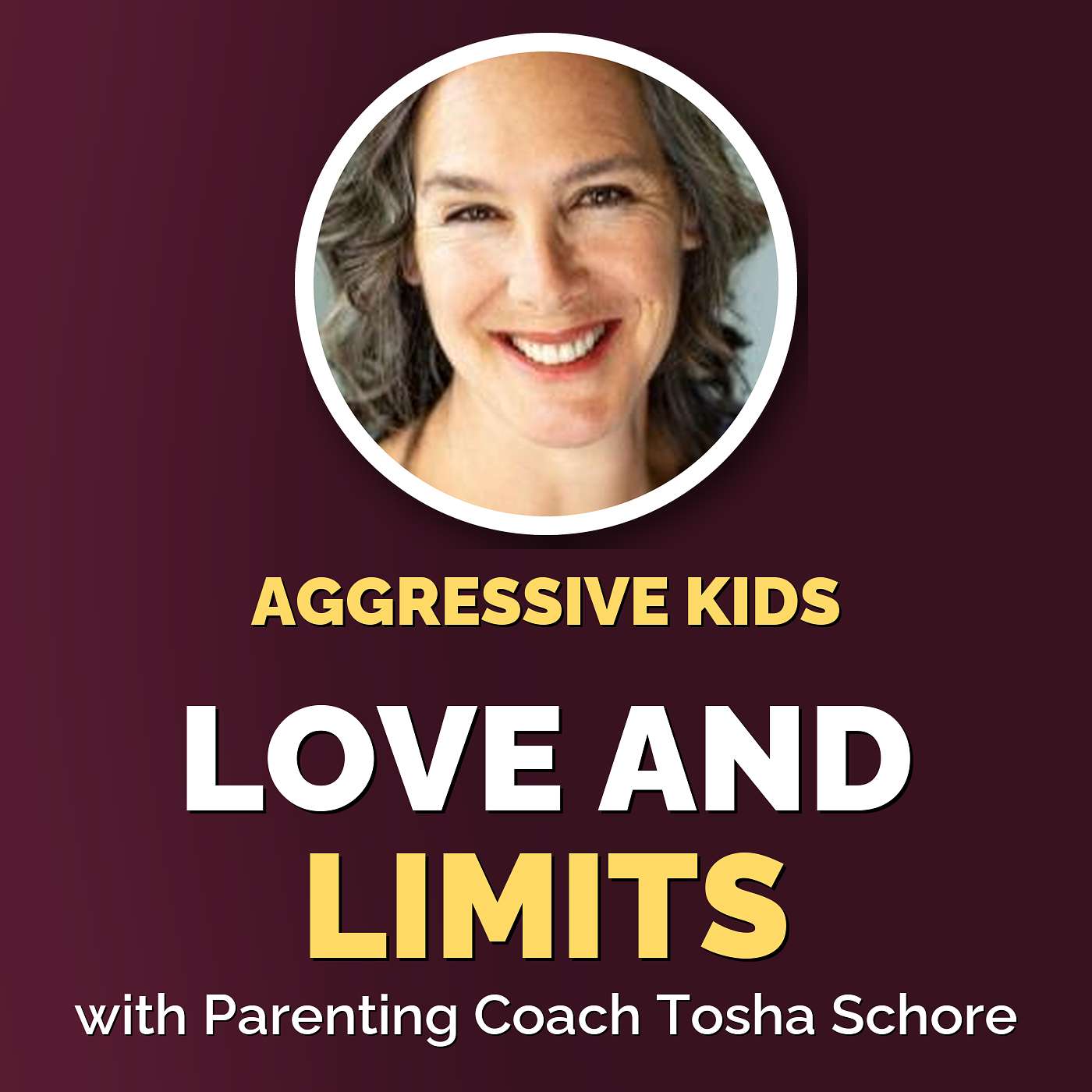 Navigating Aggressive Behavior in Kids with Love & Limits episode artwork