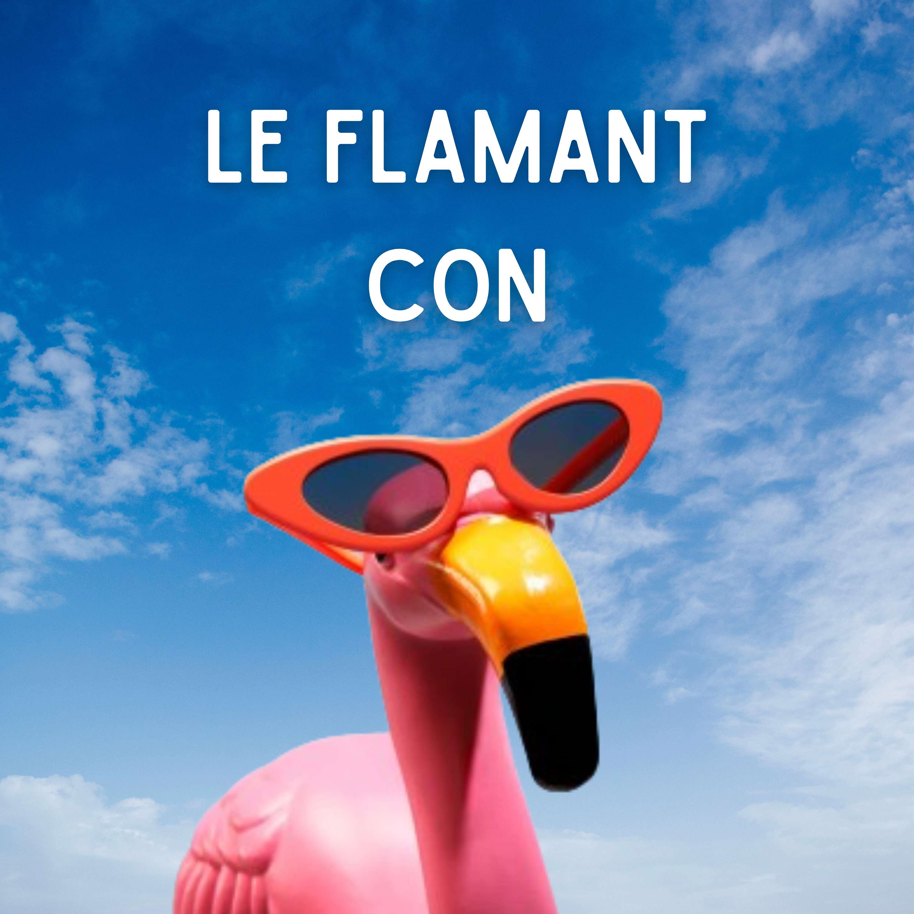 Le Flamant con