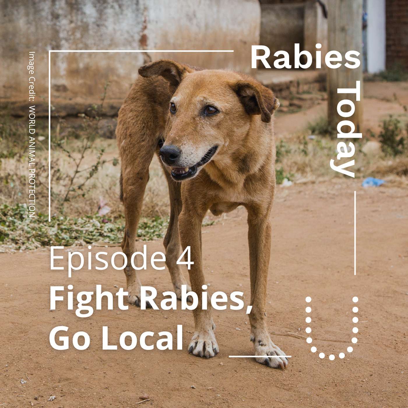 Fight Rabies: Go Local