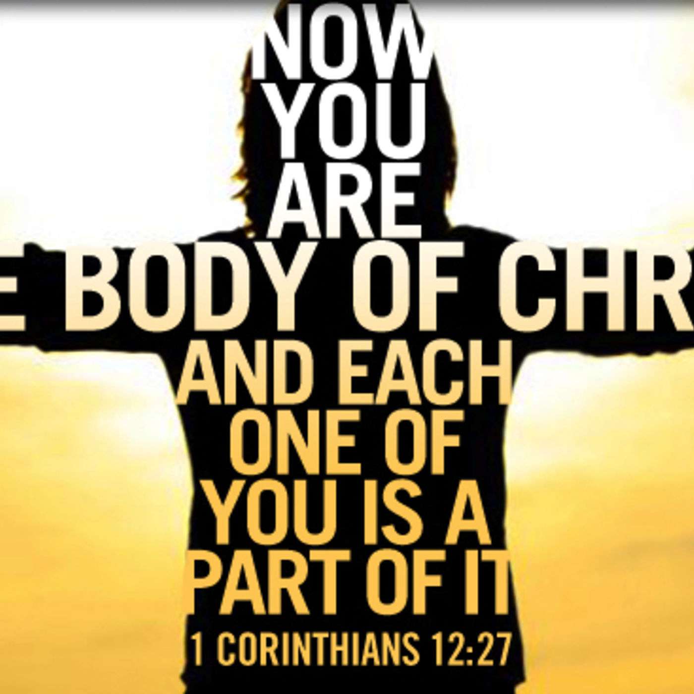 The Body.
