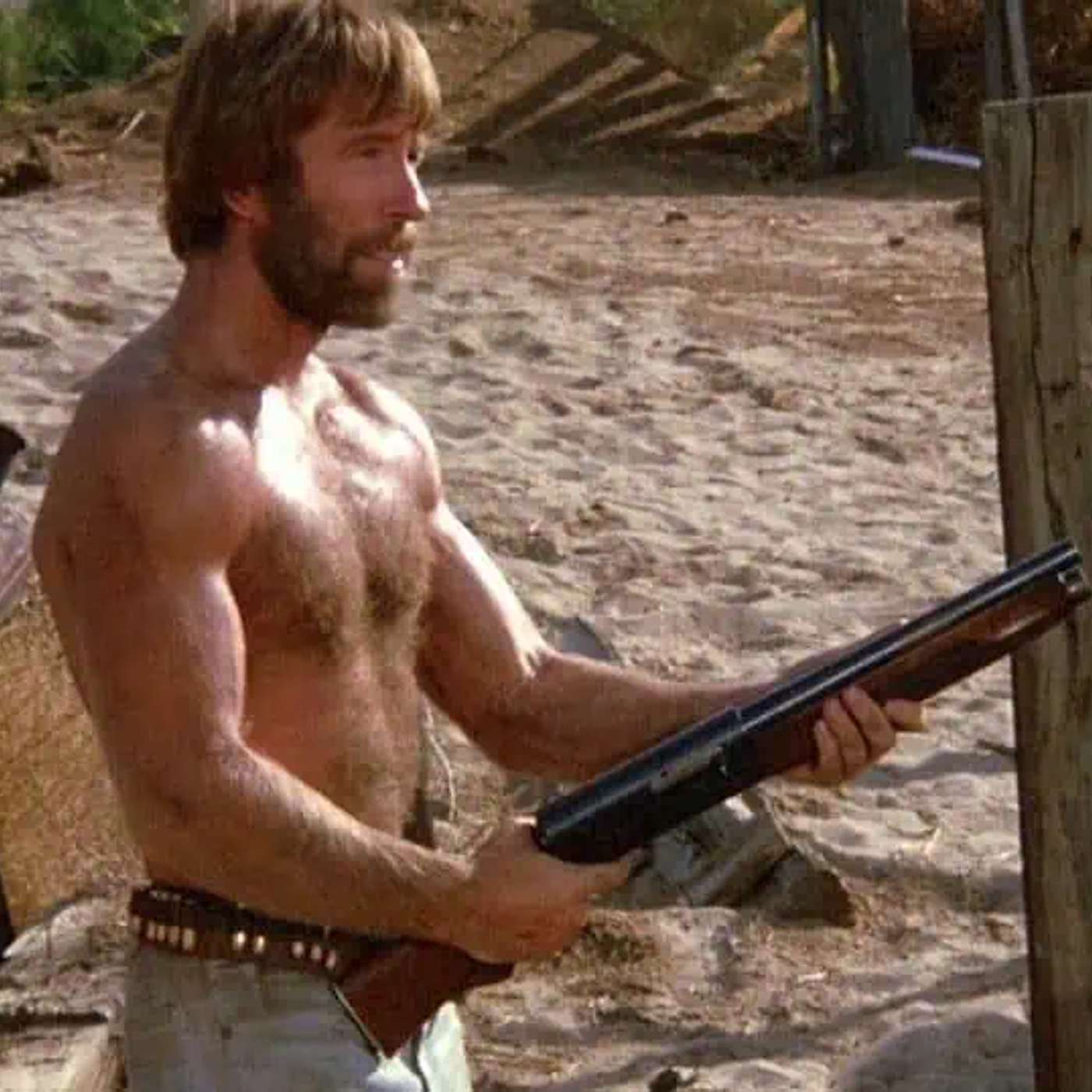Lone Wolf McQuade/McQuade den uovervindelige (1983)