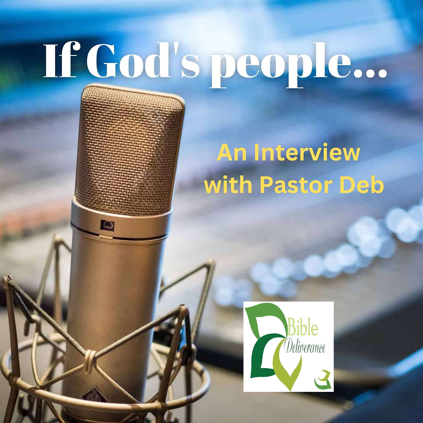 IF GOD'S PEOPLE: Pastor Deb Interviewed Concerning Today's Issues episode artwork
