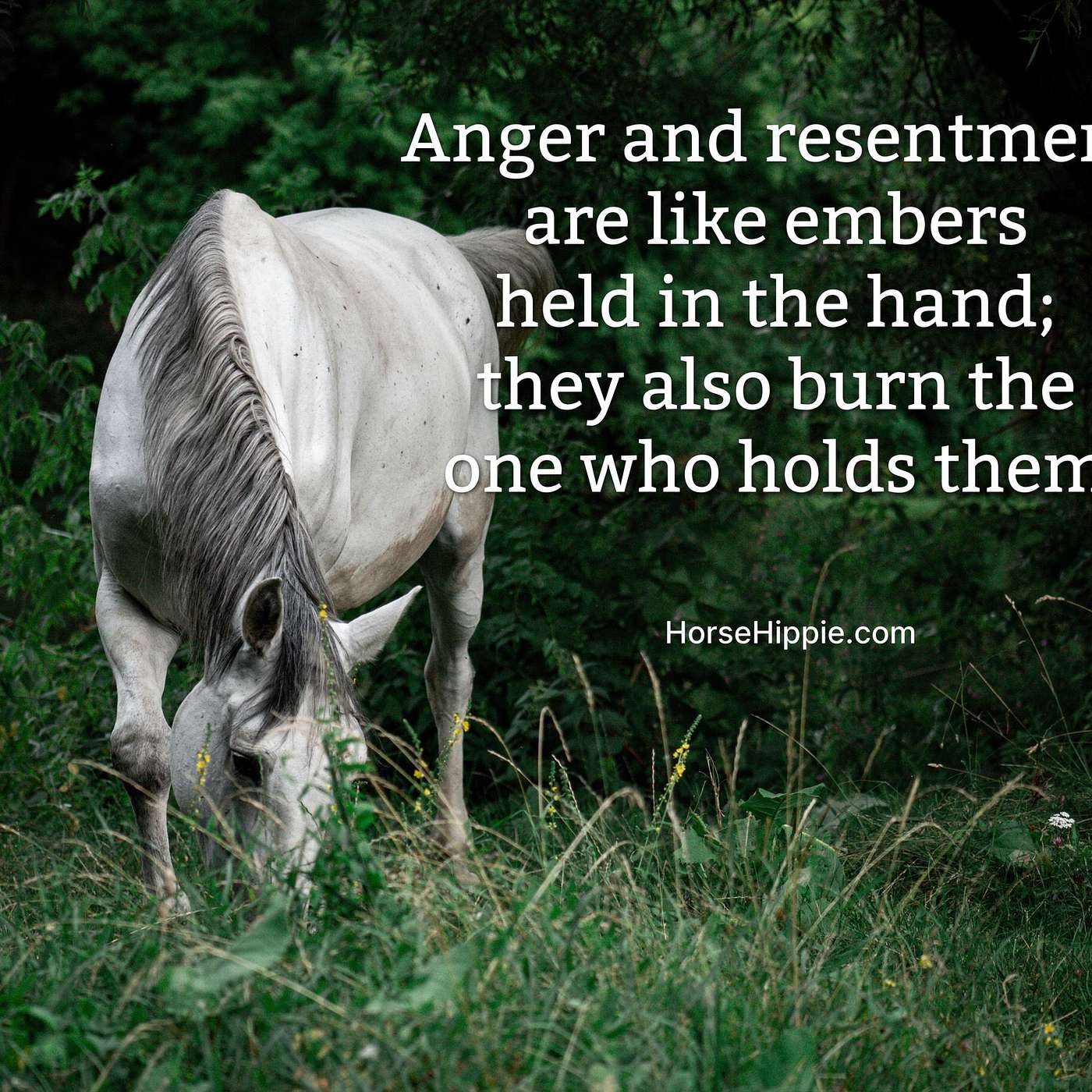 Mindfully Peaceful Mindfully Peaceful