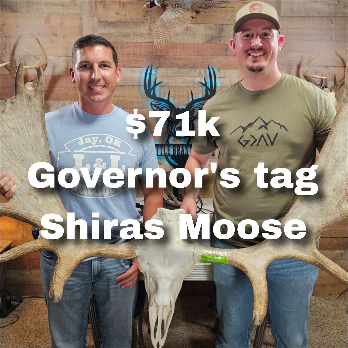 The $71k Moose: A Wyoming governor's tag story with L&L Outdoors.