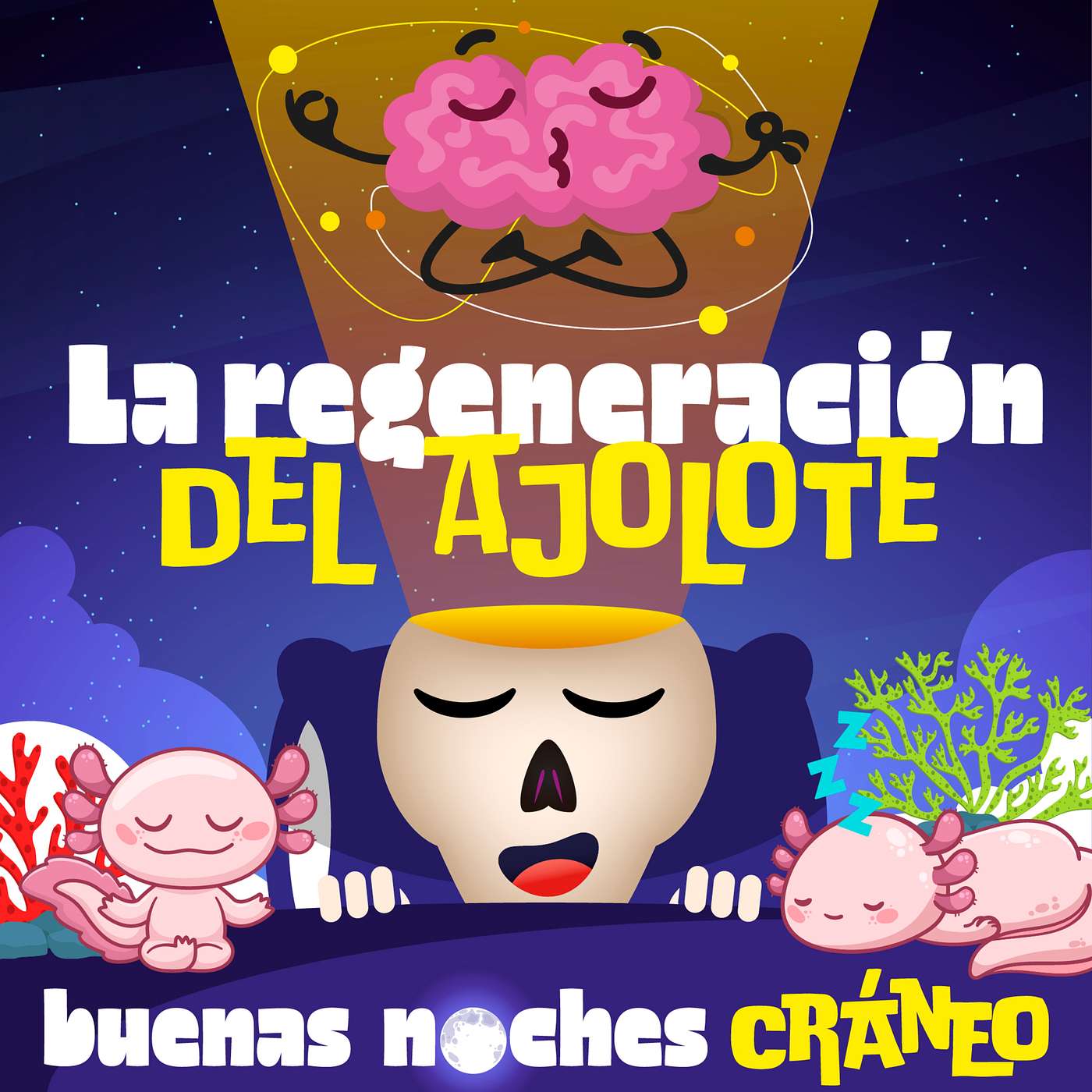 La regeneración del Ajolote episode artwork