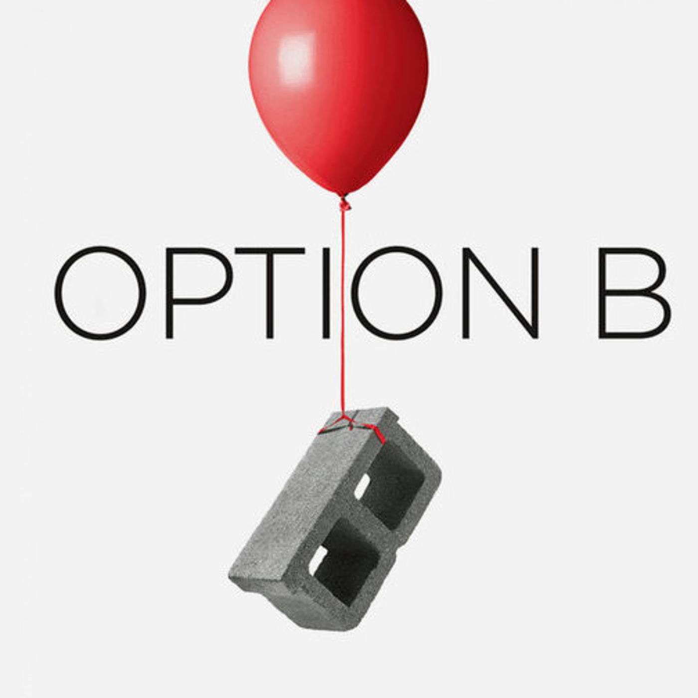 Option B: Suffering, Endurance, Character, and Hope