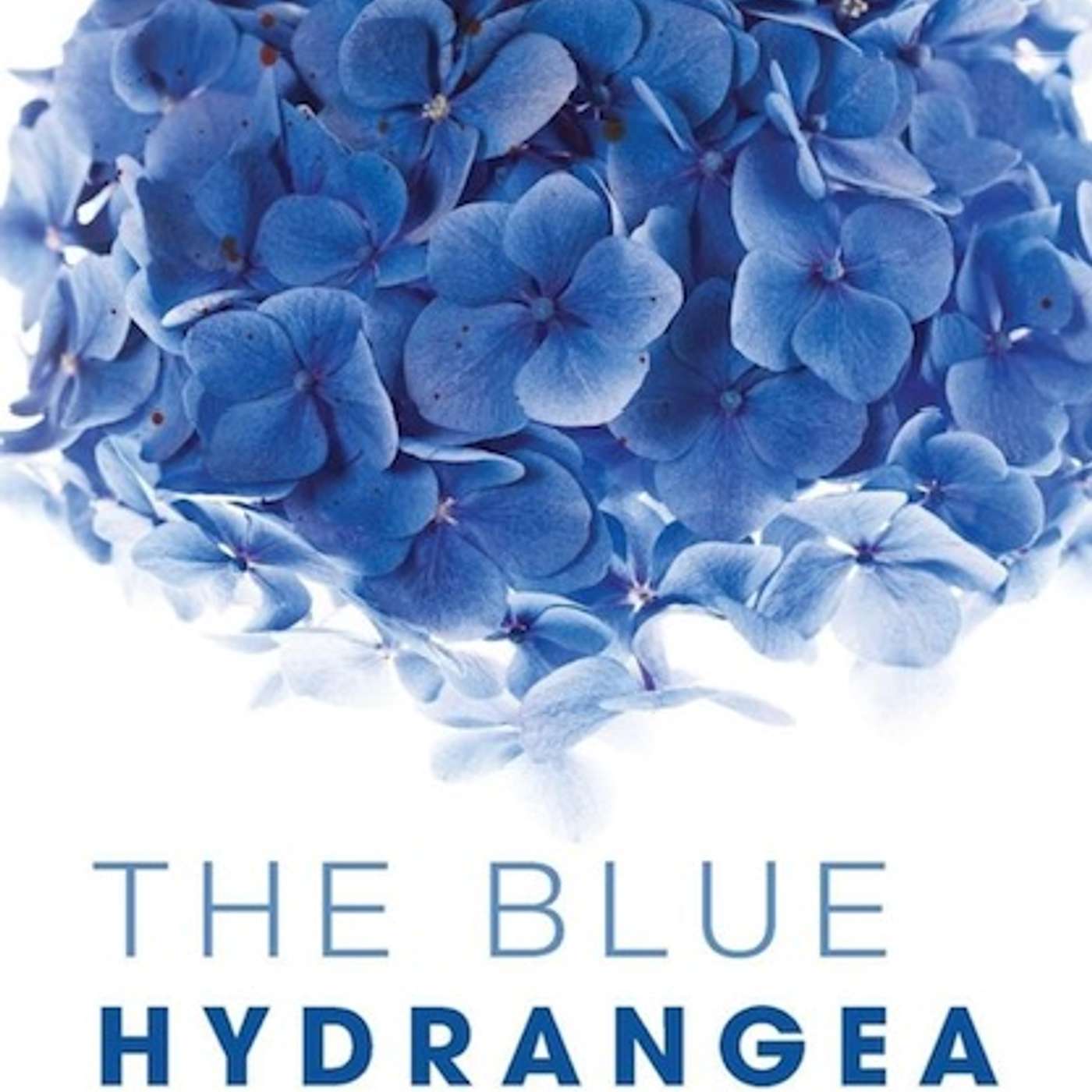 Tragedy into triumph with Caitlin Dowd