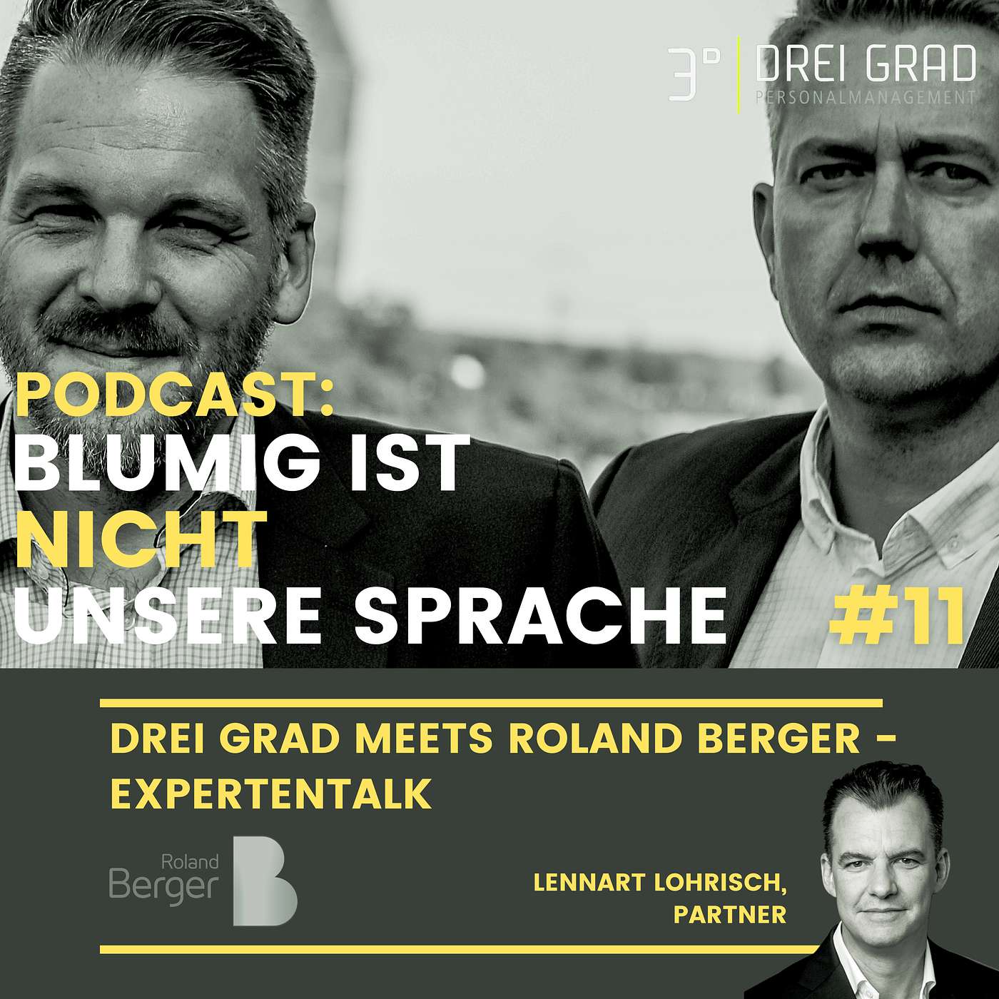 #11 Drei Grad meets Roland Berger - Expertentalk