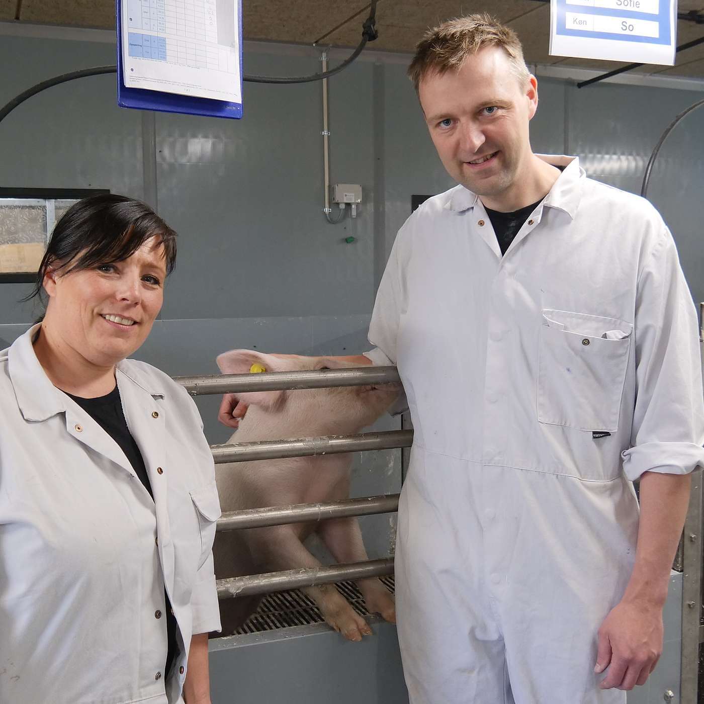 SEGES Økonomi og virksomhedsledelse